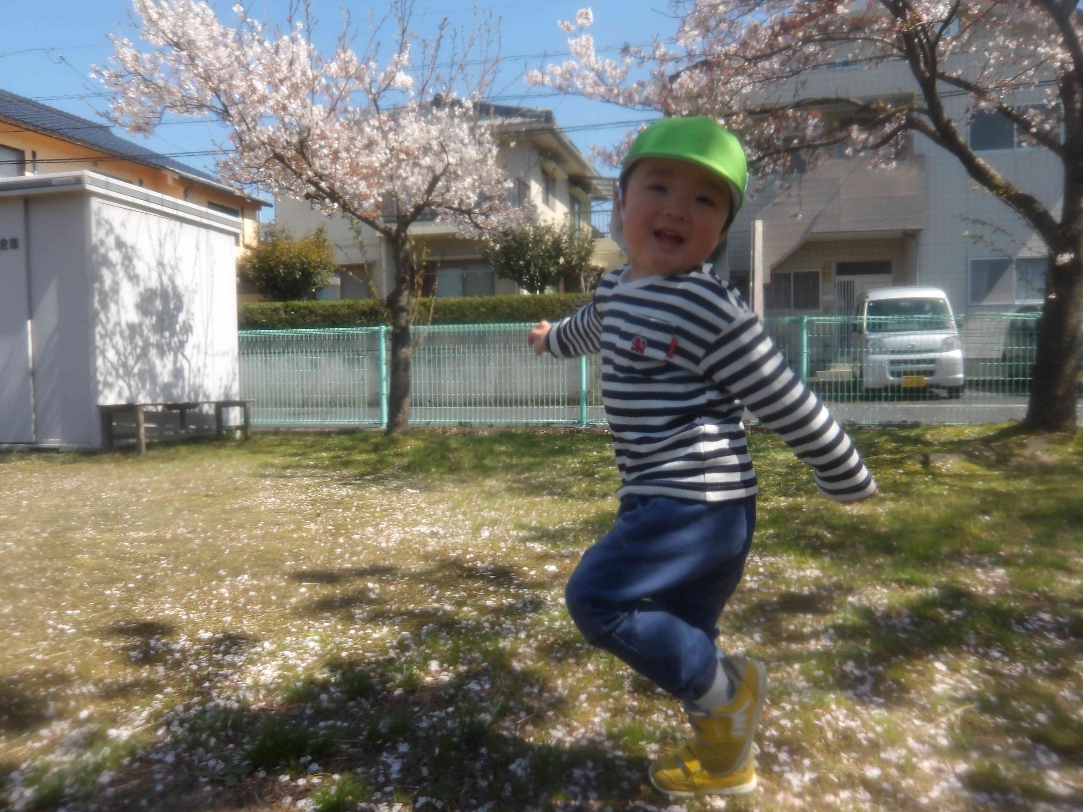 さくら公園までお散歩に行きました！(全クラス)
