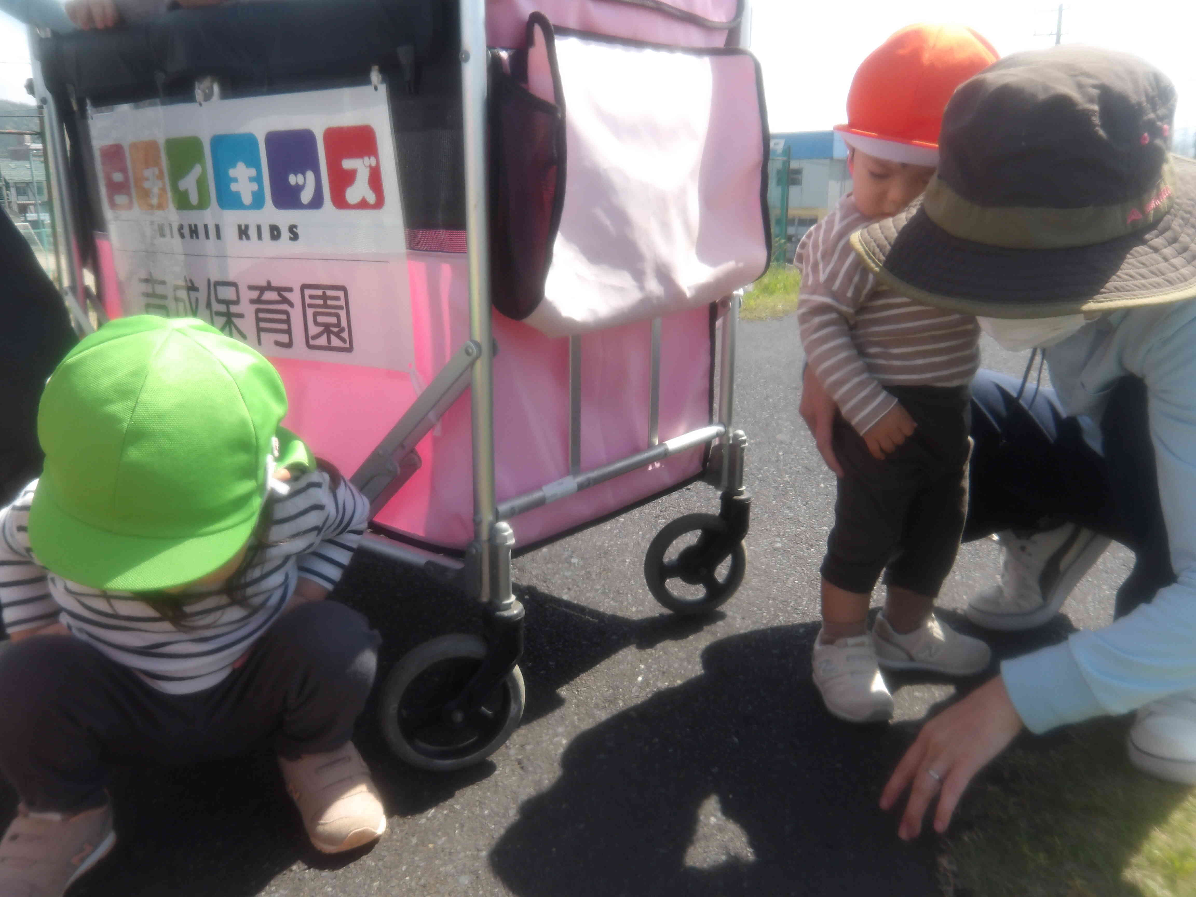 虫さんもういないかな？と探していました。