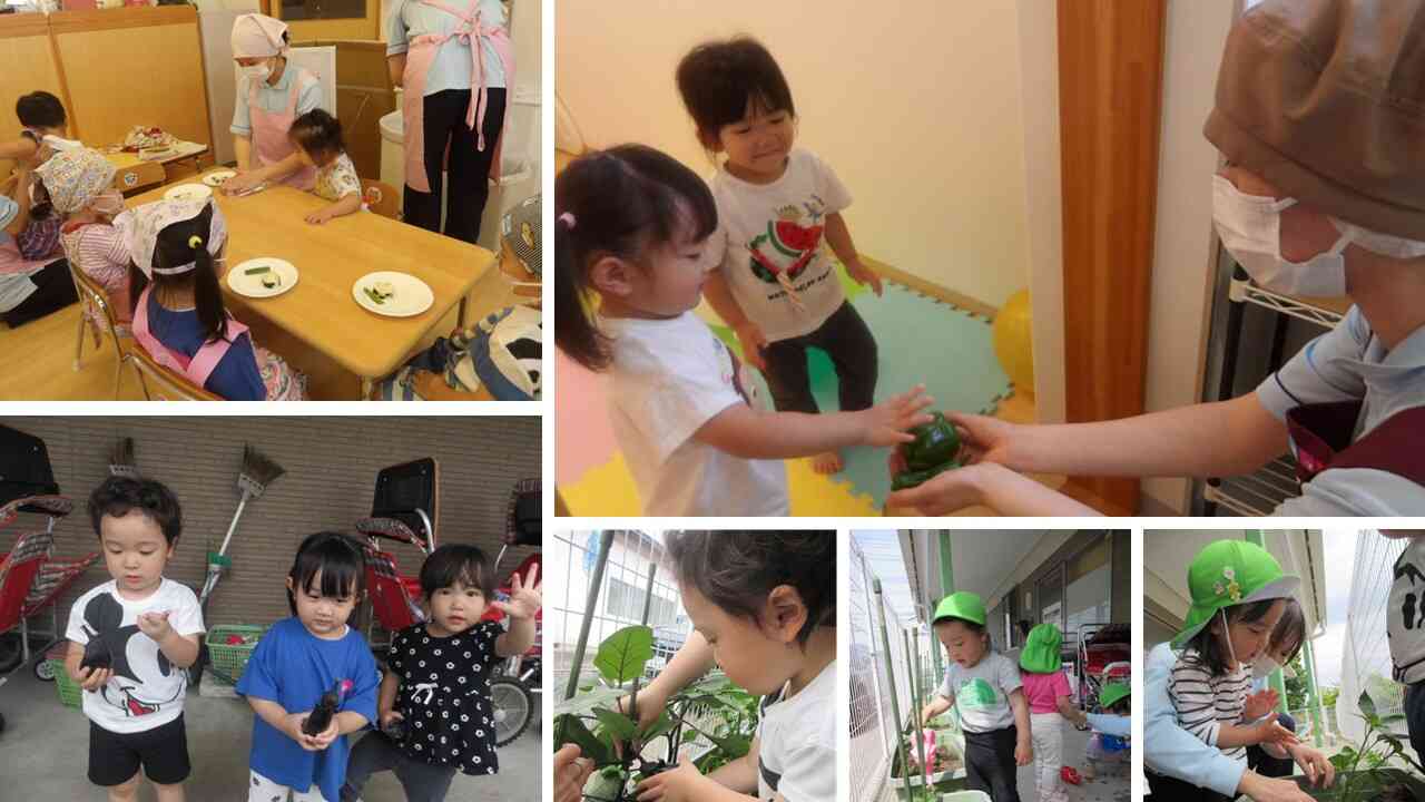 食育活動