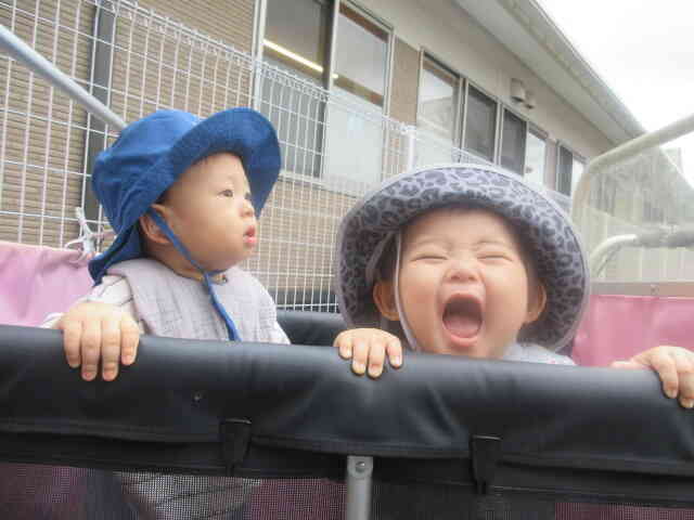 ひよこ組(０歳児）　遊びの様子