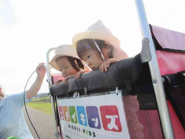 土手沿い散歩　　何を見つけたの？