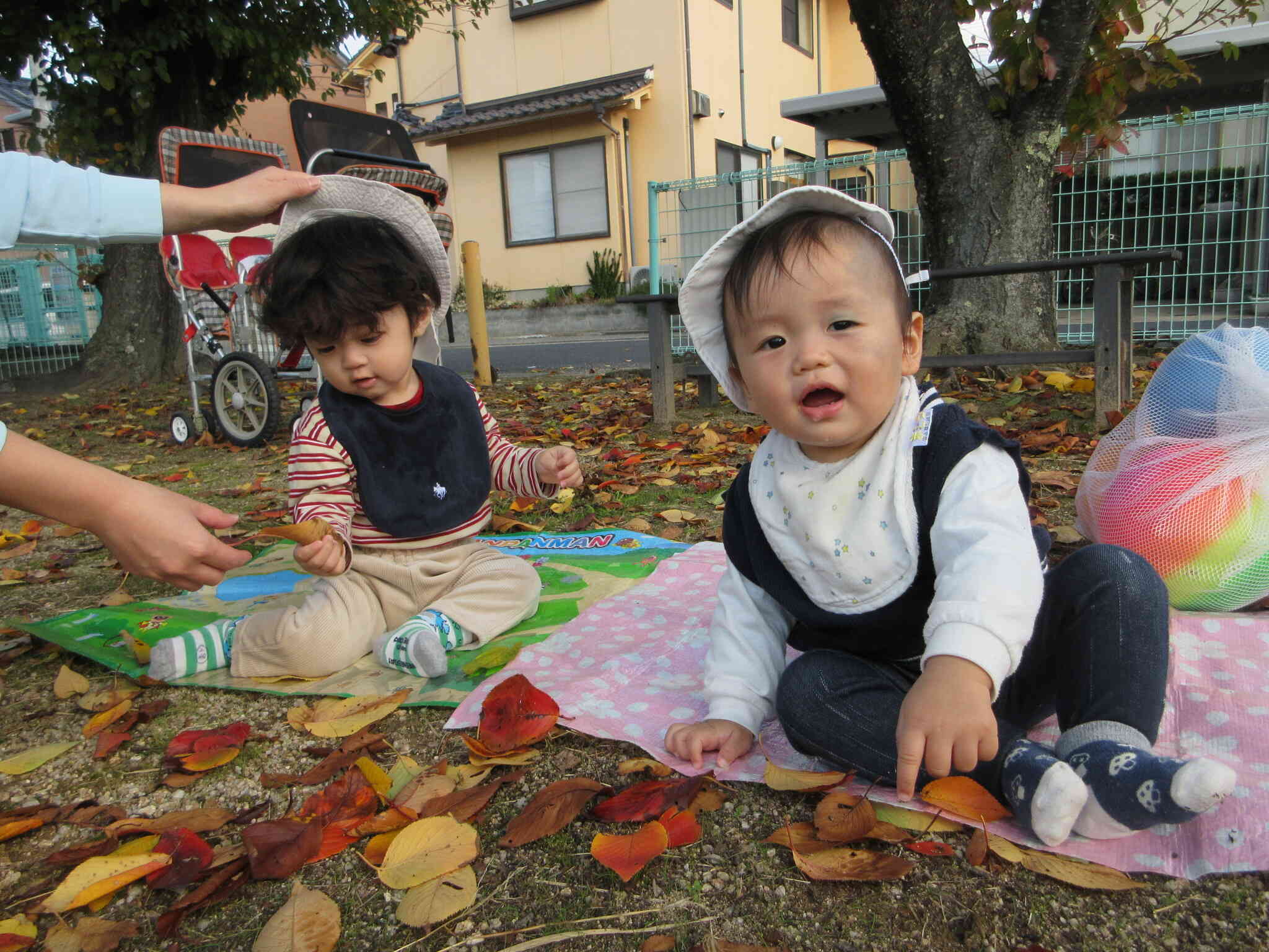 葉っぱの感触を確かめるTくんとそっと葉っぱに手を伸ばすYくん