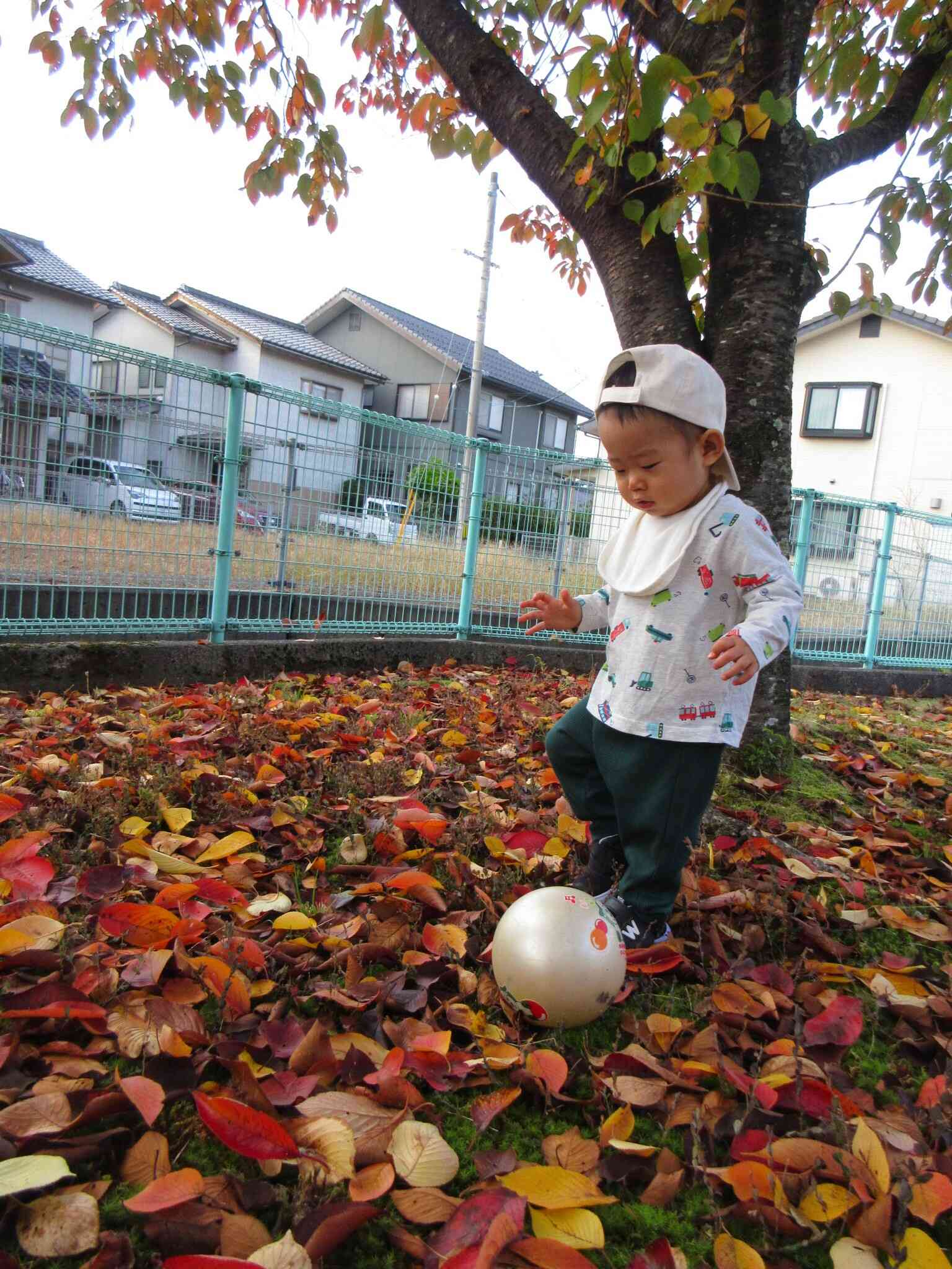 秋みつけ(0歳児ひよこ組)
