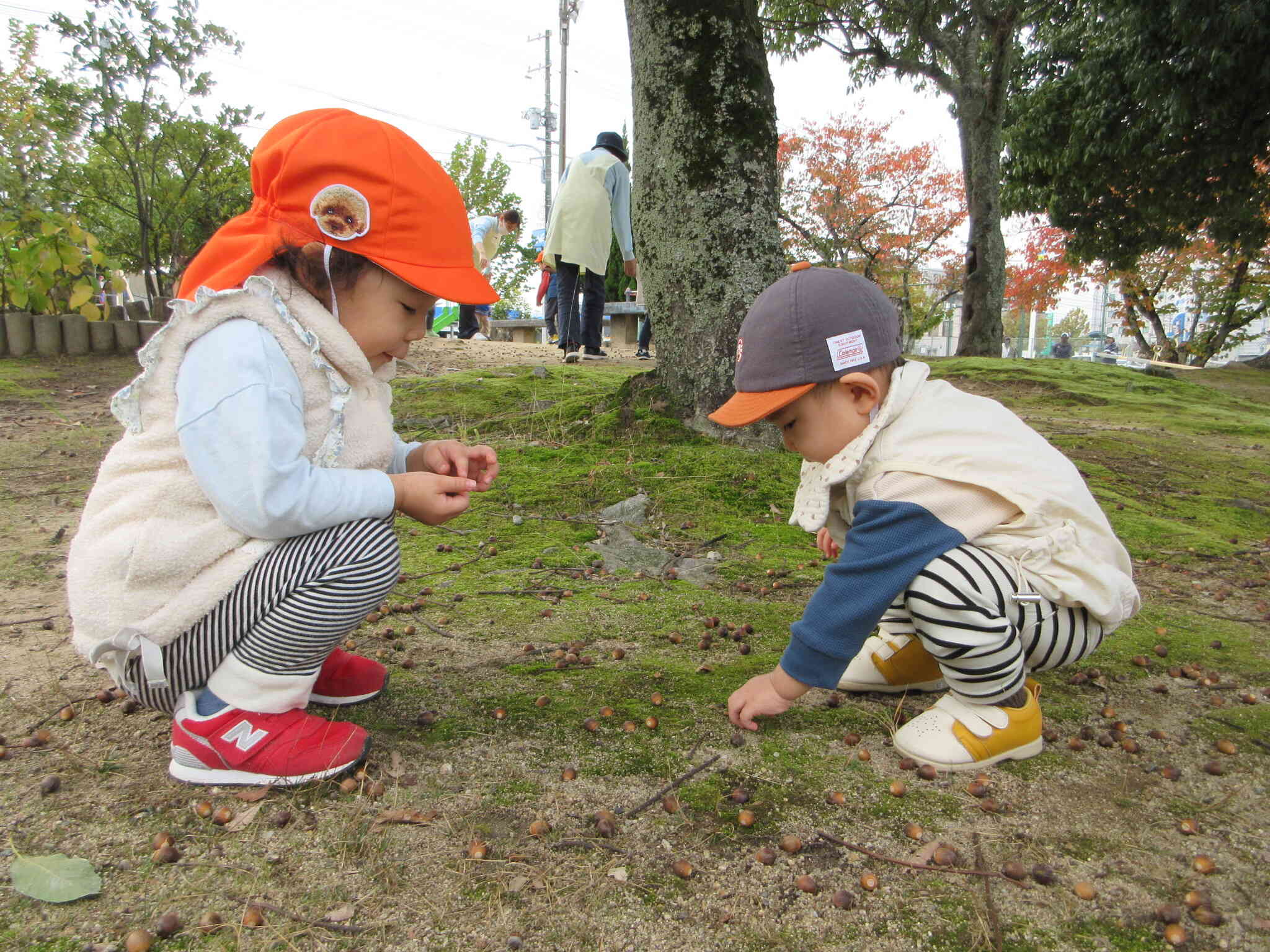 みんなでお散歩