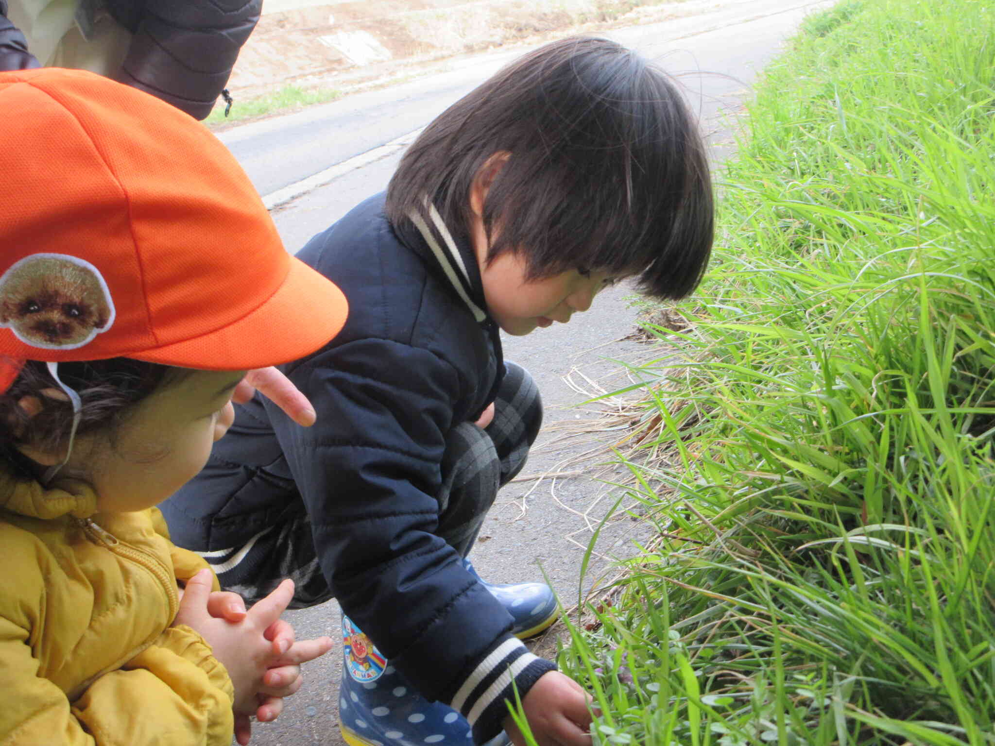 はるがそこまでやってきた