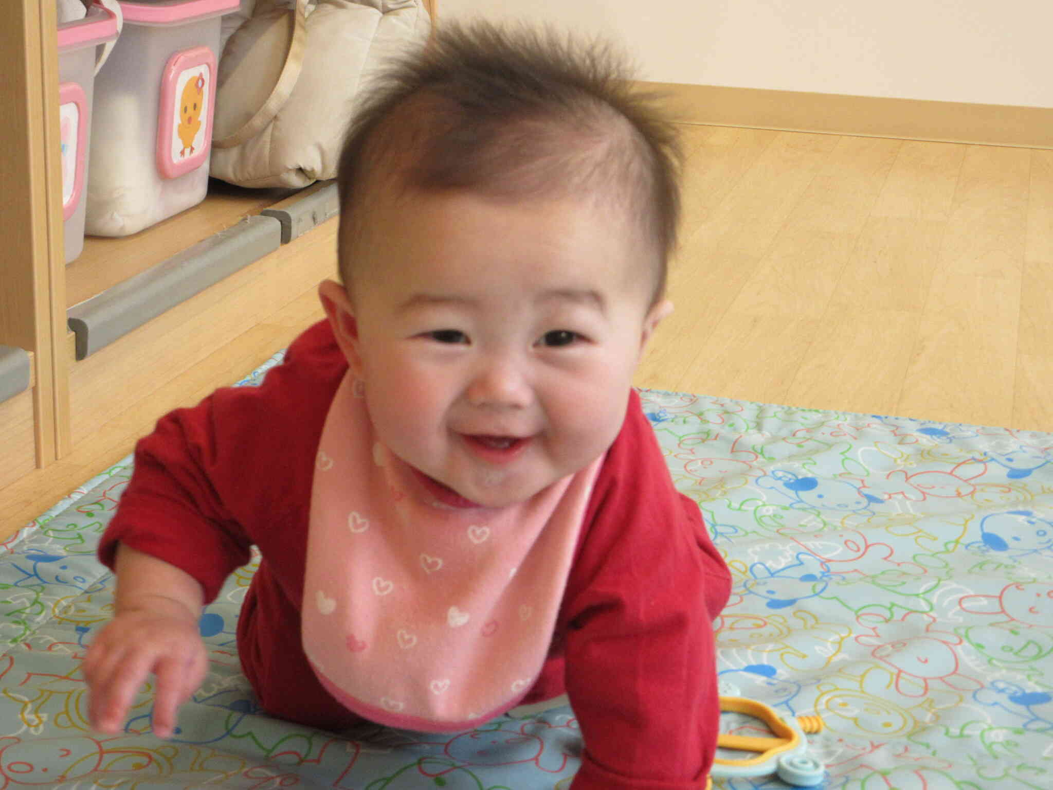 ハイハイであちこち移動するのが楽しいRちゃん