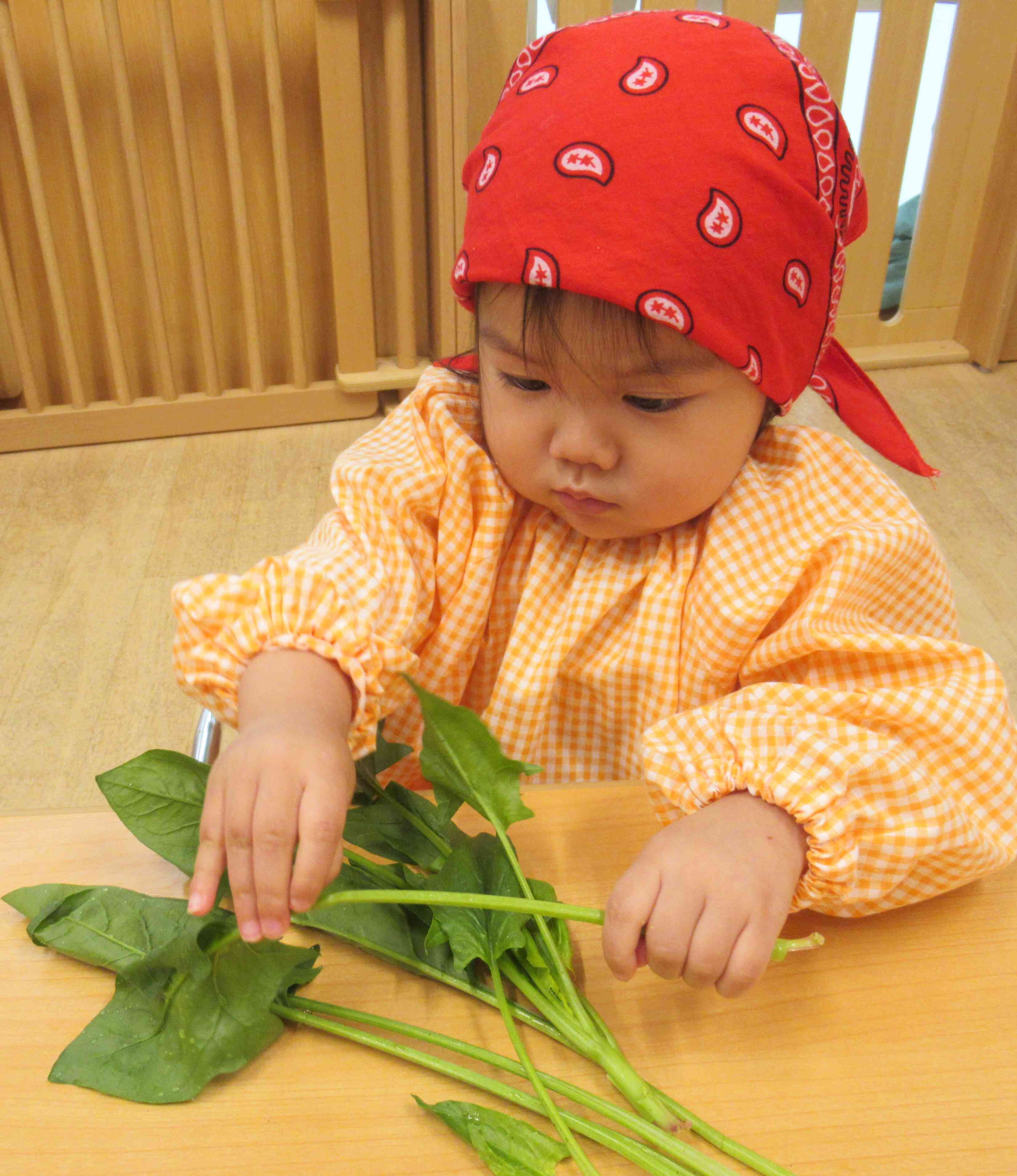 あひる組さん（1歳児）も頑張ります