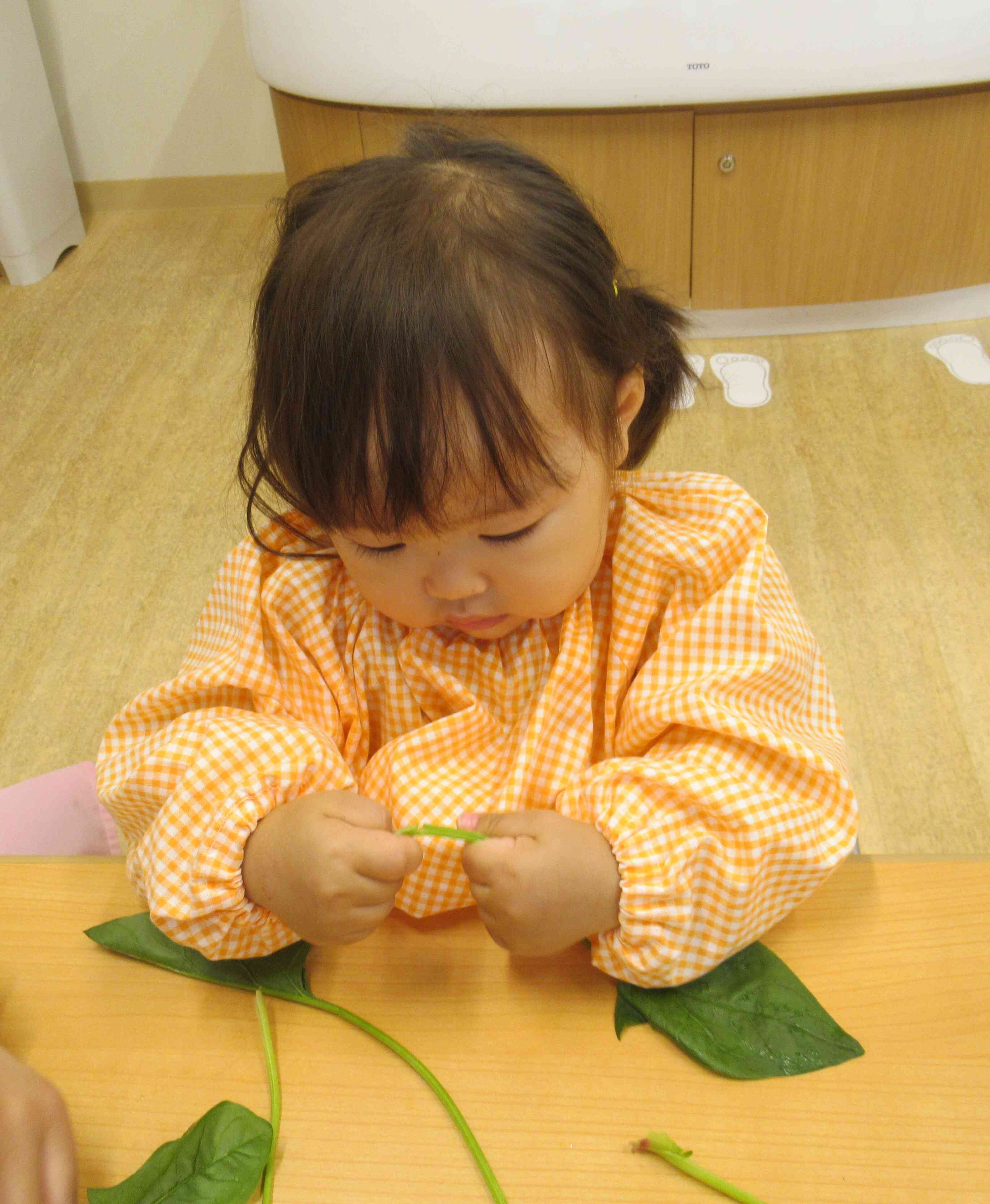 力いっぱいに引っ張る姿かわいいですね