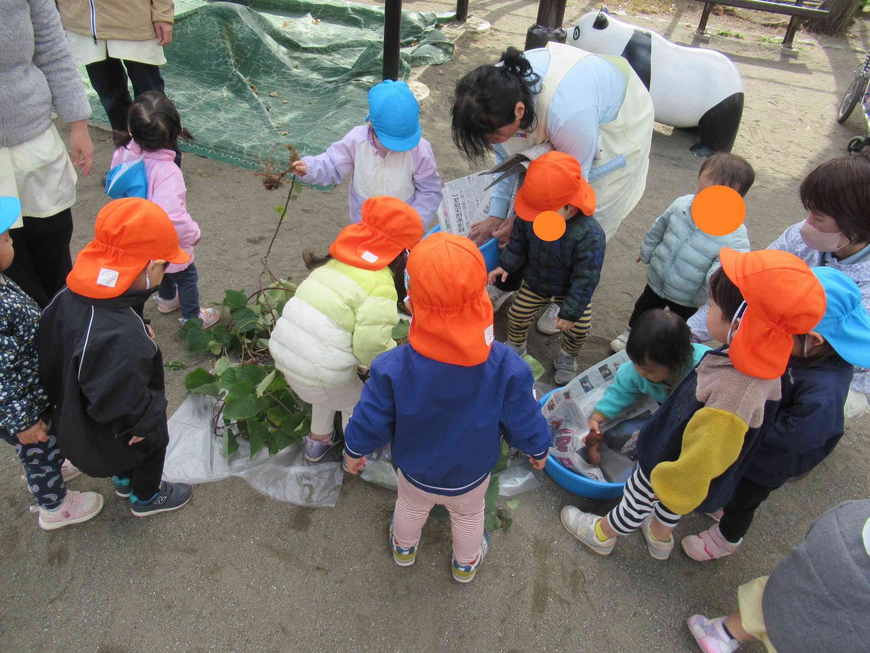 11/12　プチおいもほり