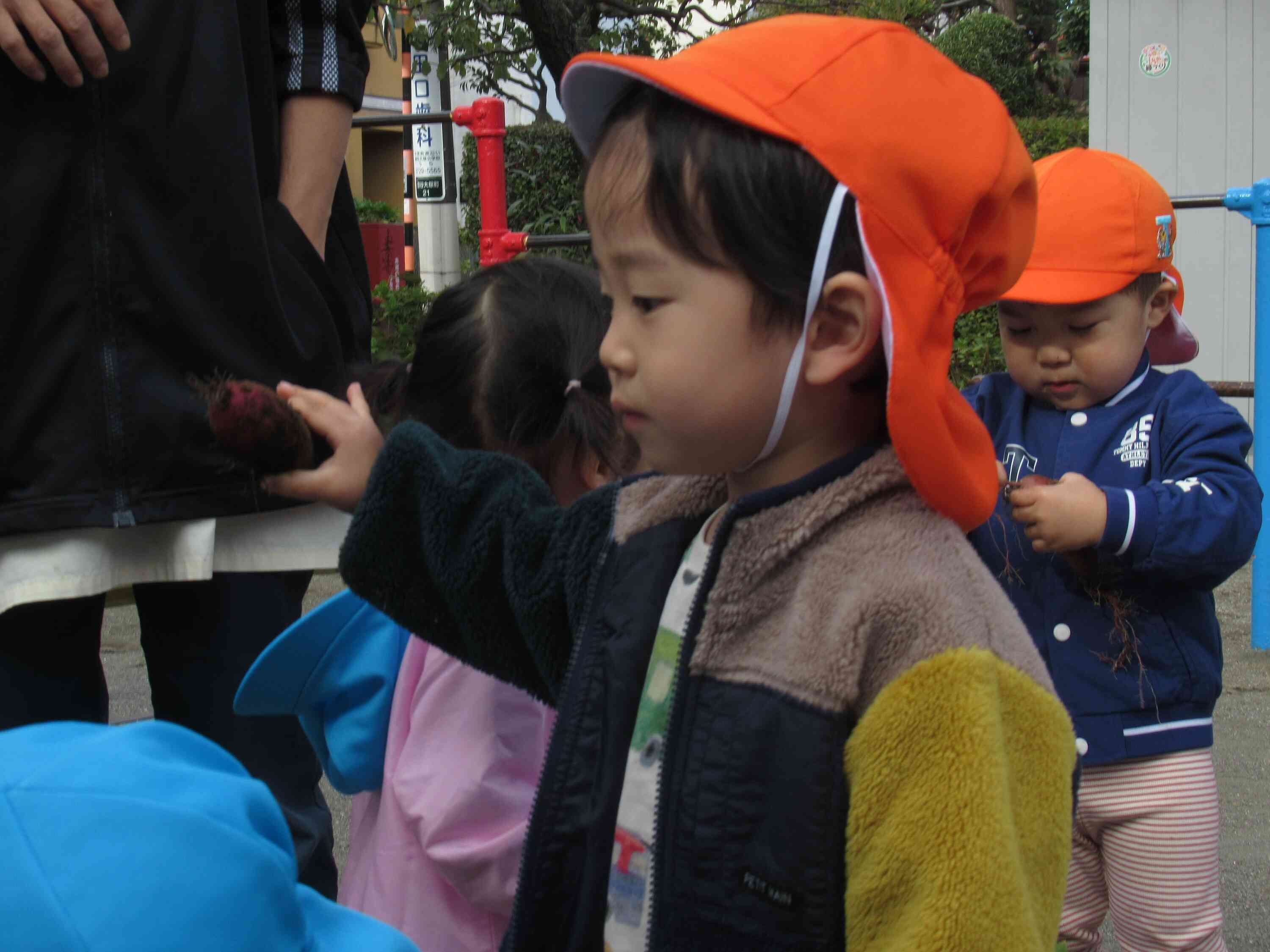 これどうするの？？