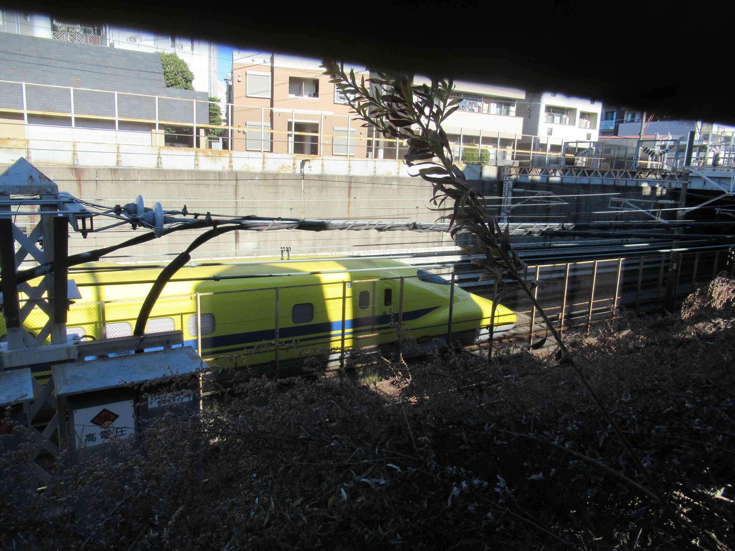 かっこいいよね