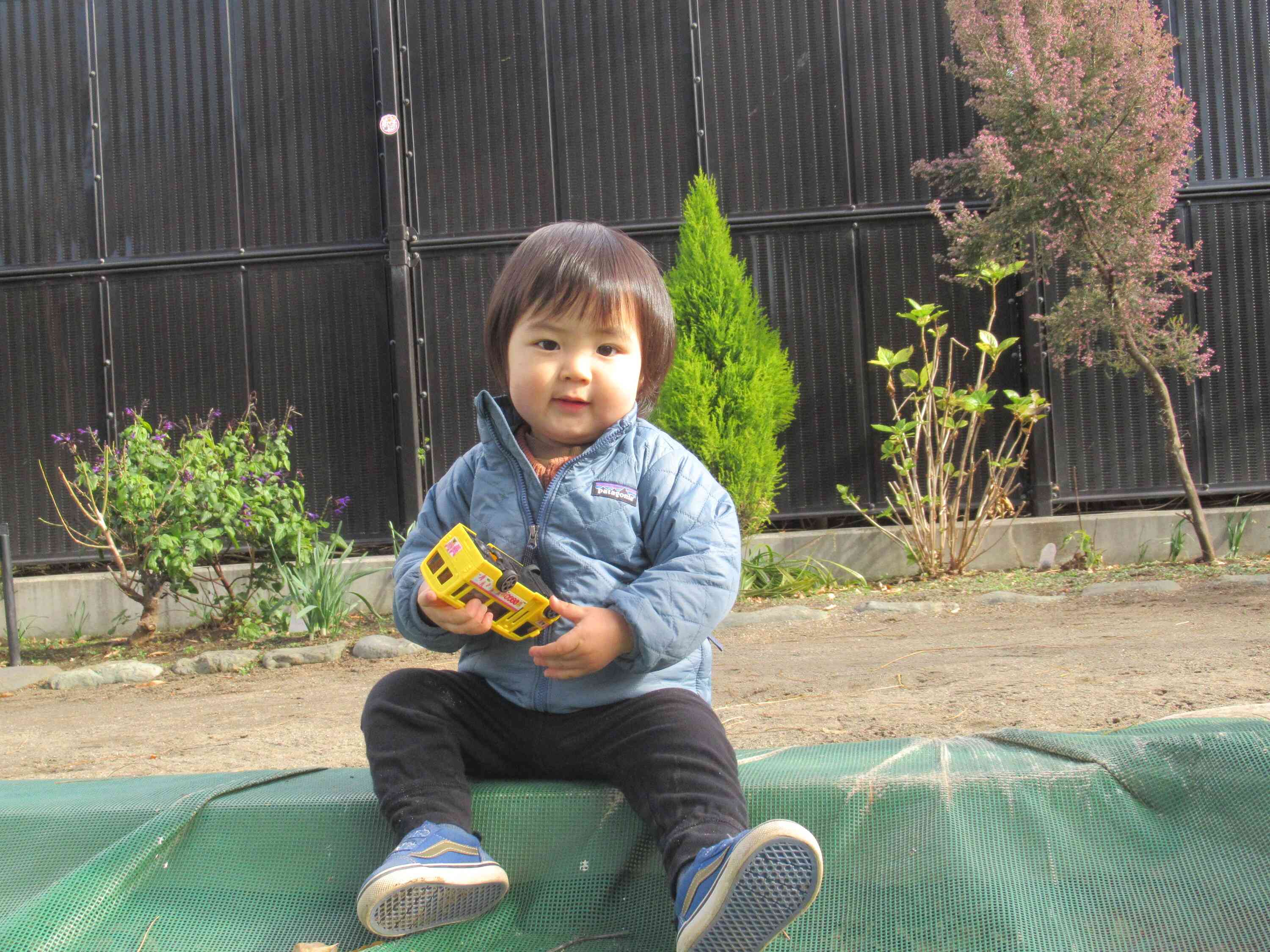 大好きなおもちゃでたくさんあそぶぞ！！楽しみがいっぱい！！！