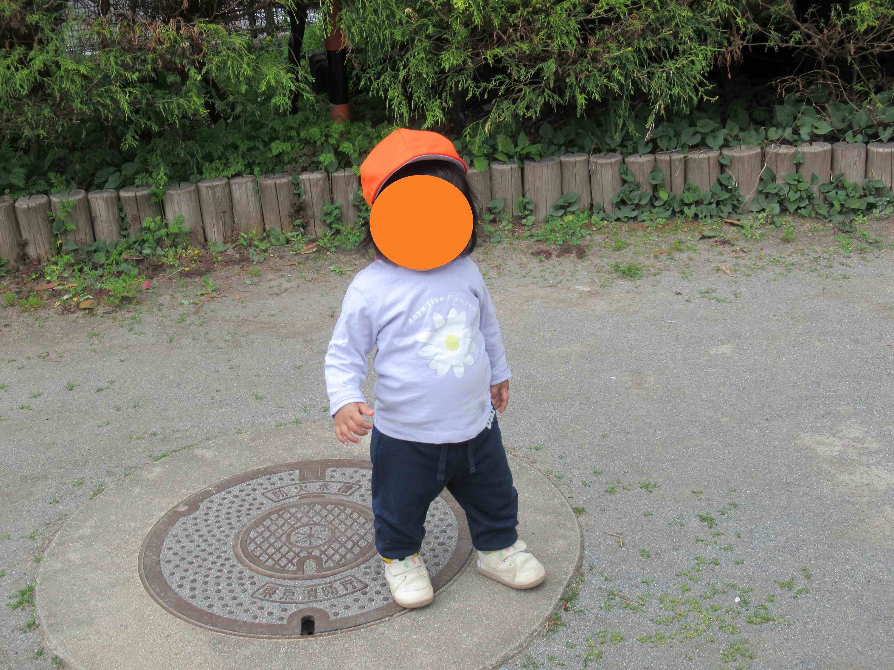 ちょうちょをみつけたのかな？