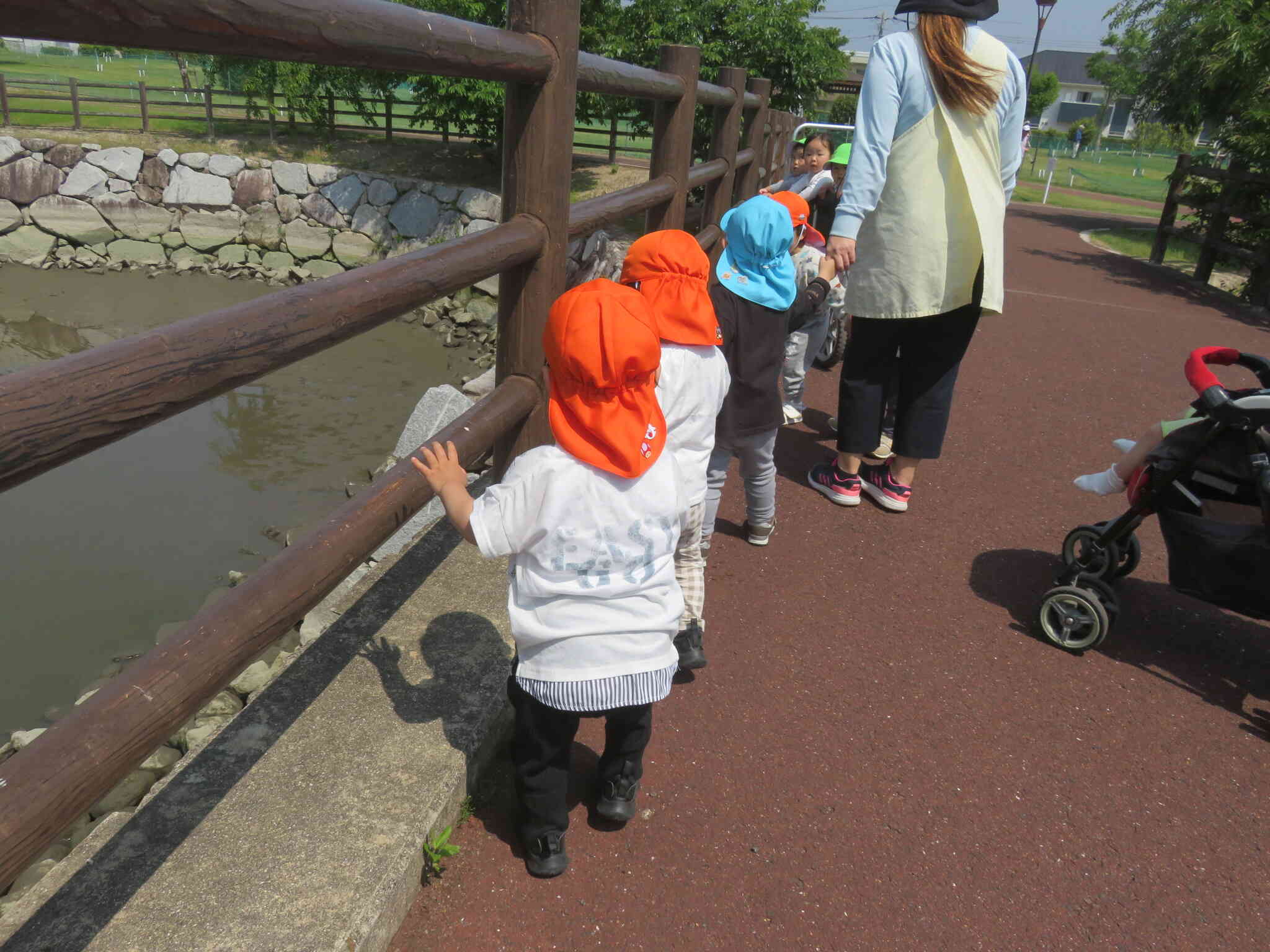 池の中には何がいる？
