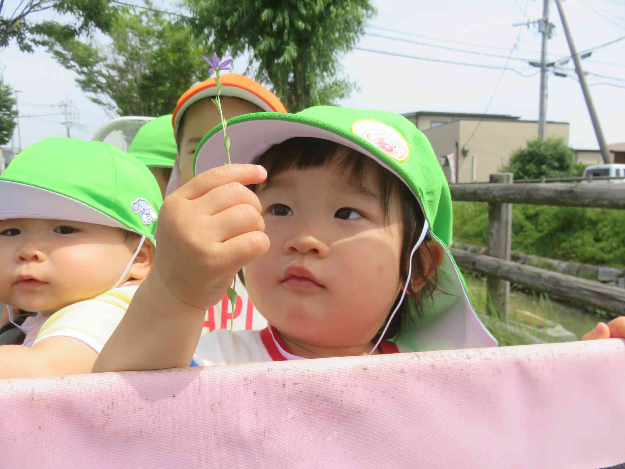 お散歩～1歳児～