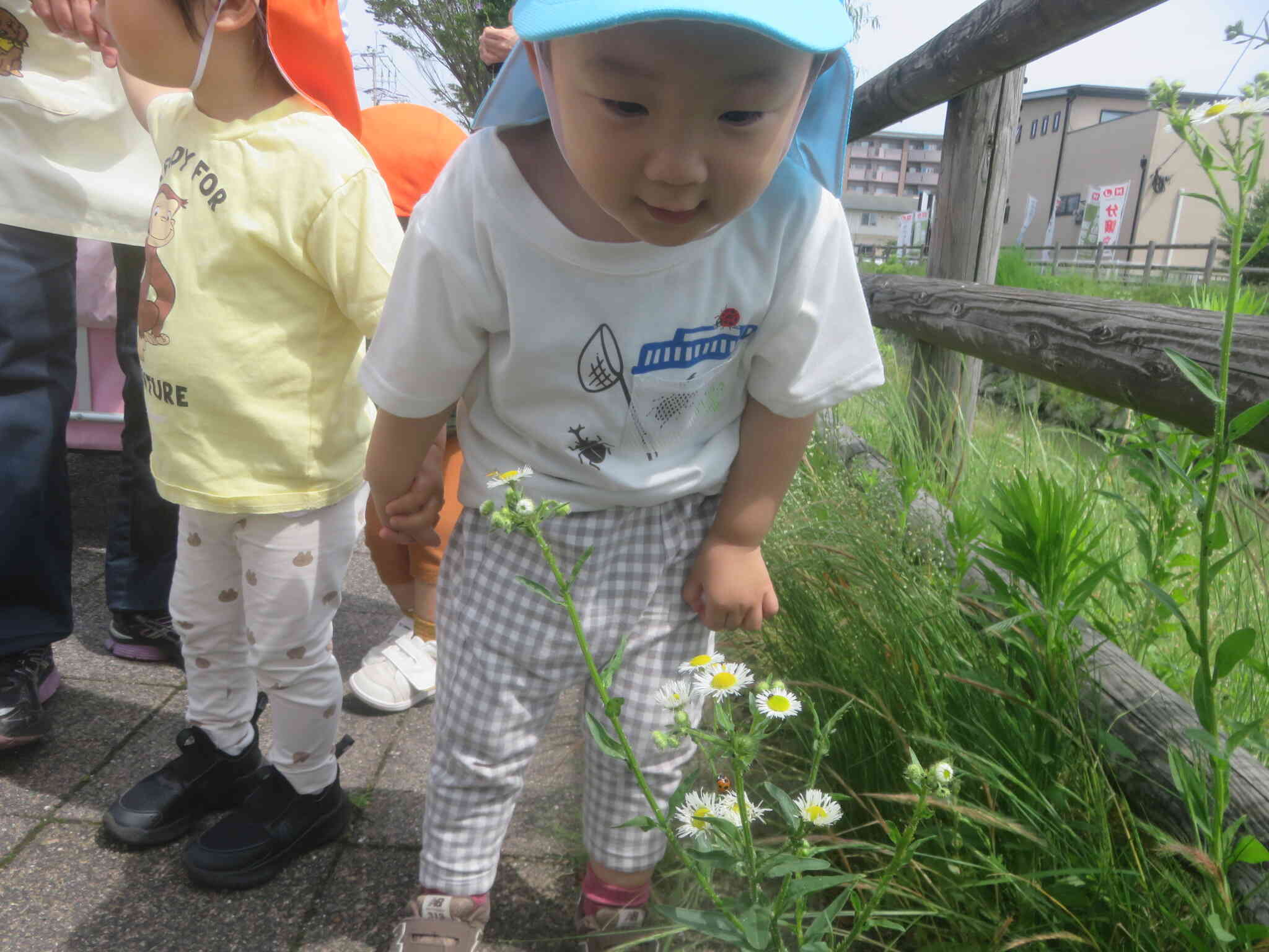お散歩に行ったよ☆～2歳児～