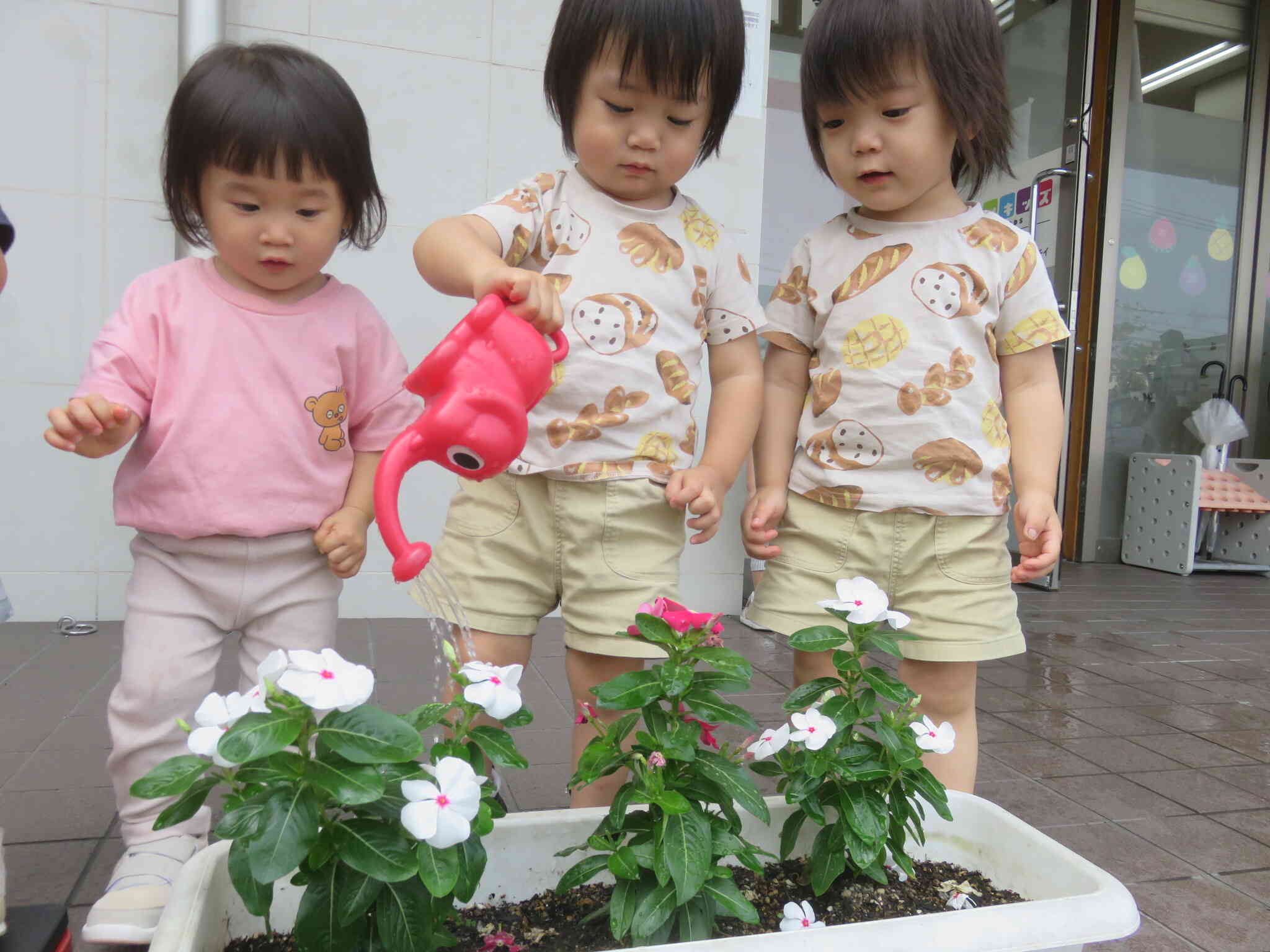 水やり頑張っています❁～1・2歳児～