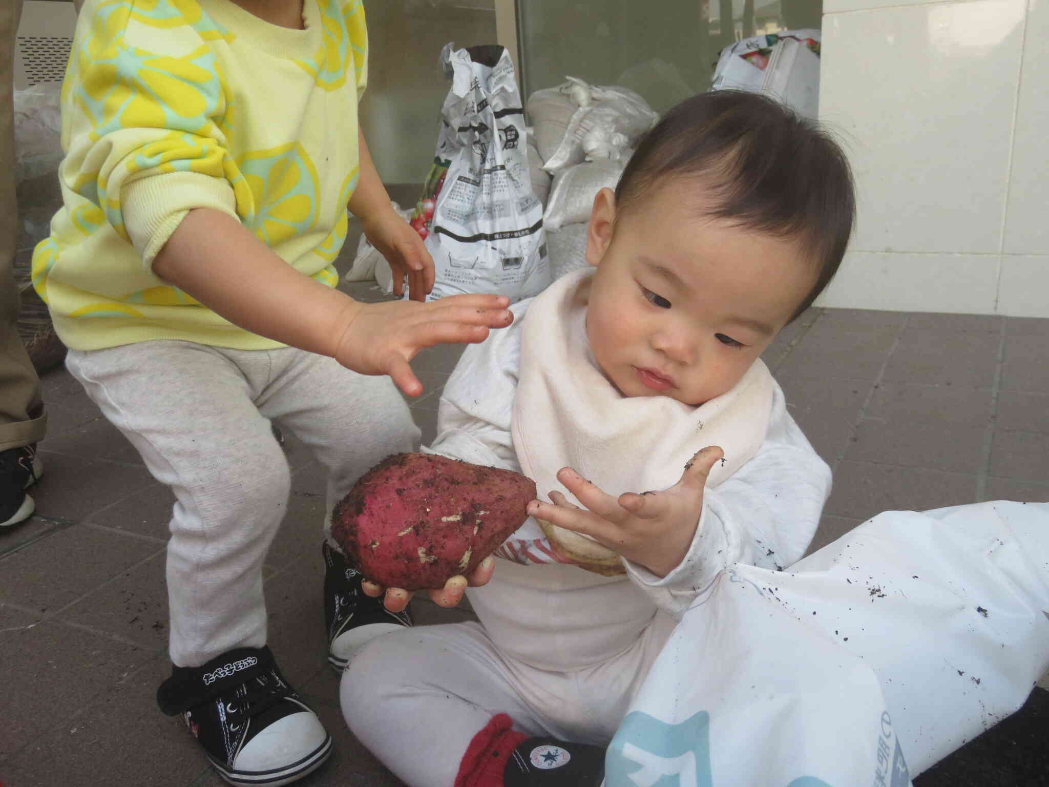 うんとこしょ！