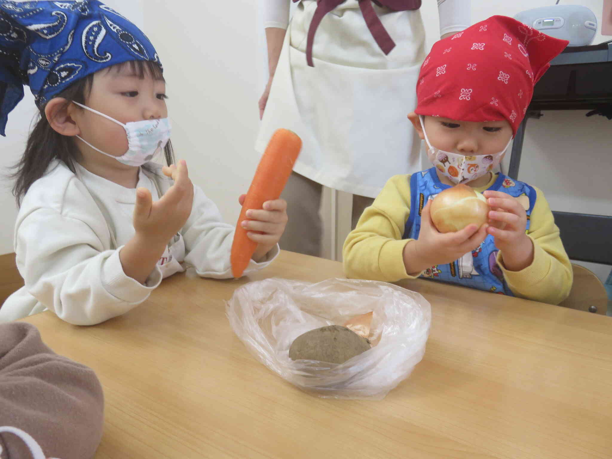 目で見て、手で触って