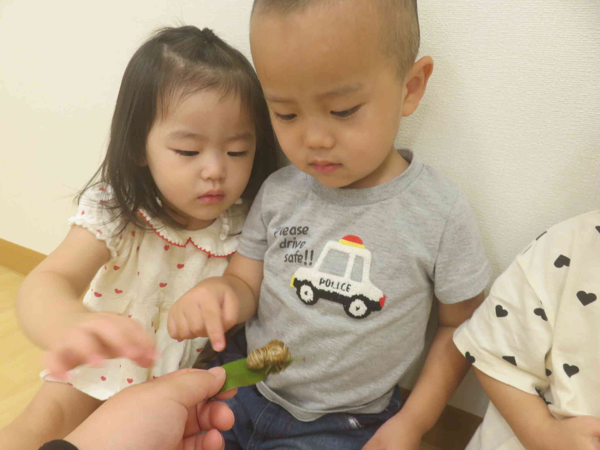 夏になると出てくる虫はな～んだ？
