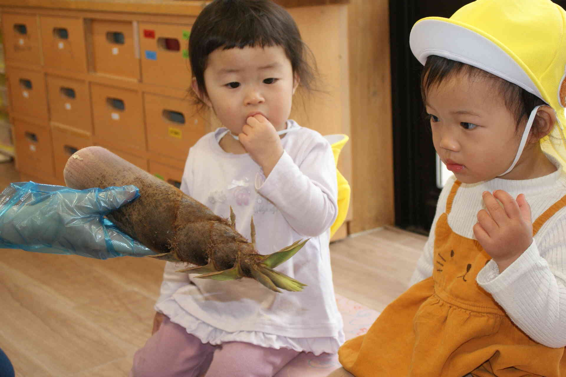1歳児さんはたけのこを見せてもらいました