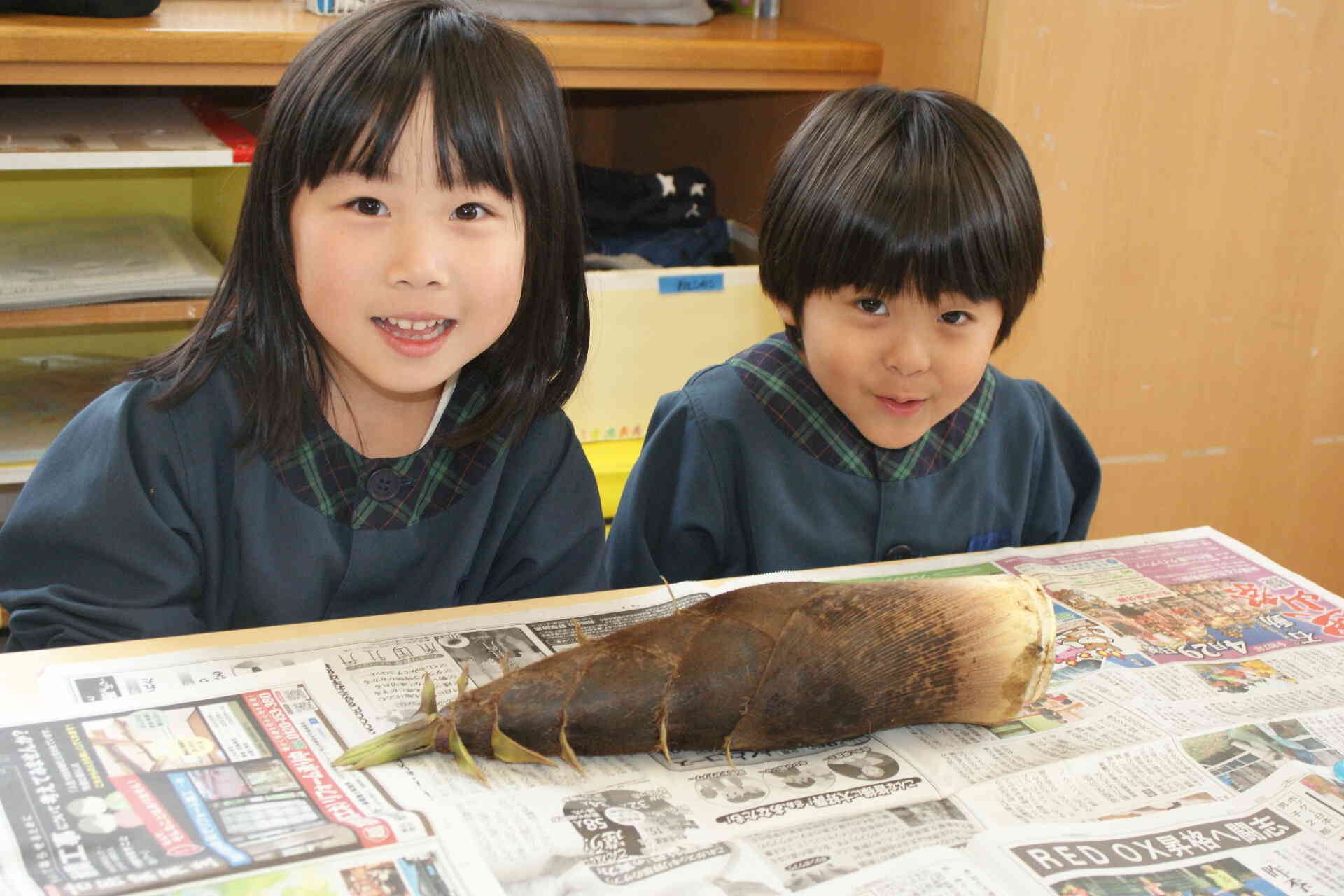 たけのこを見てみよう！
