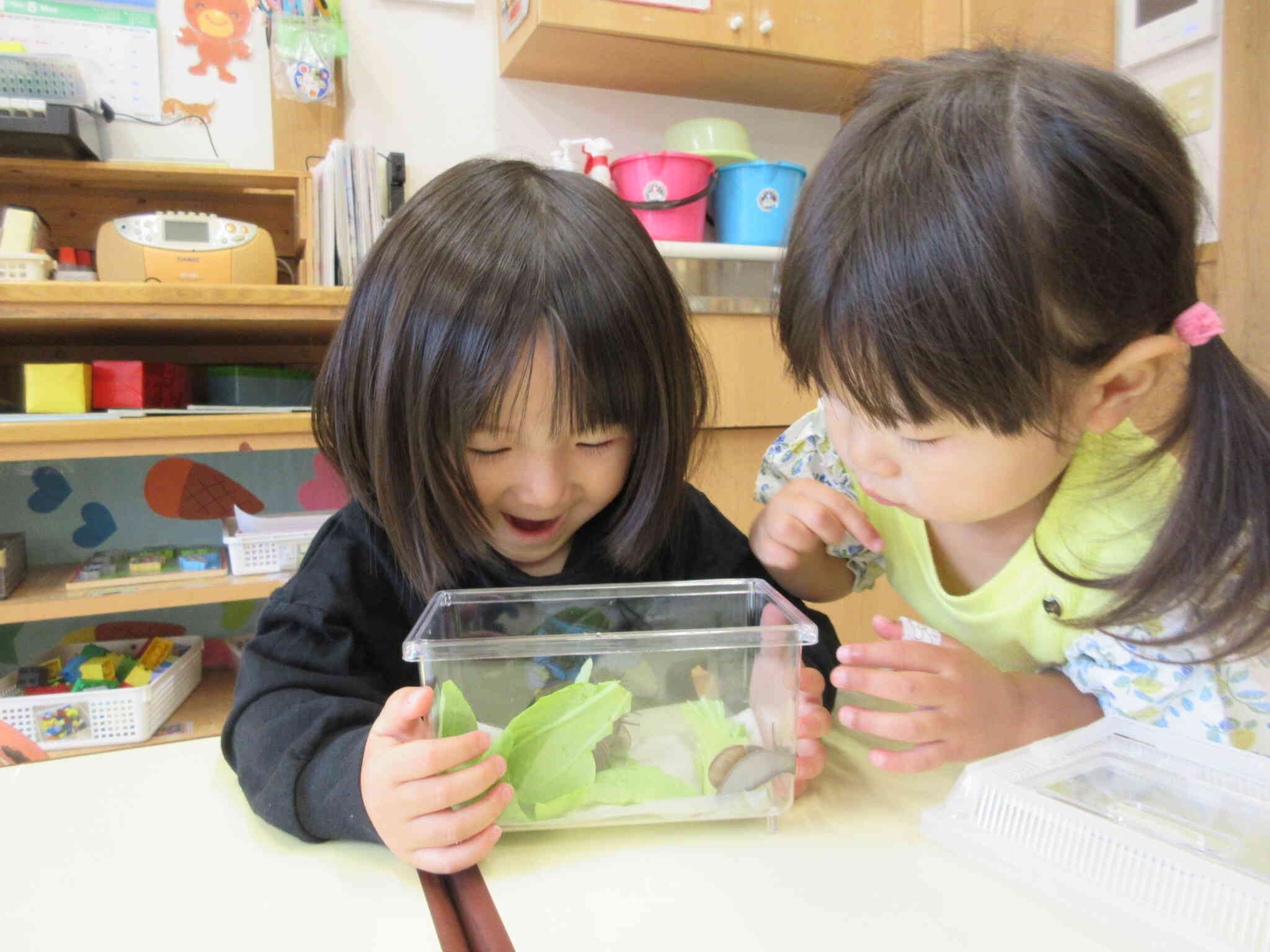 カタツムリを育てているよ。かわいいね！