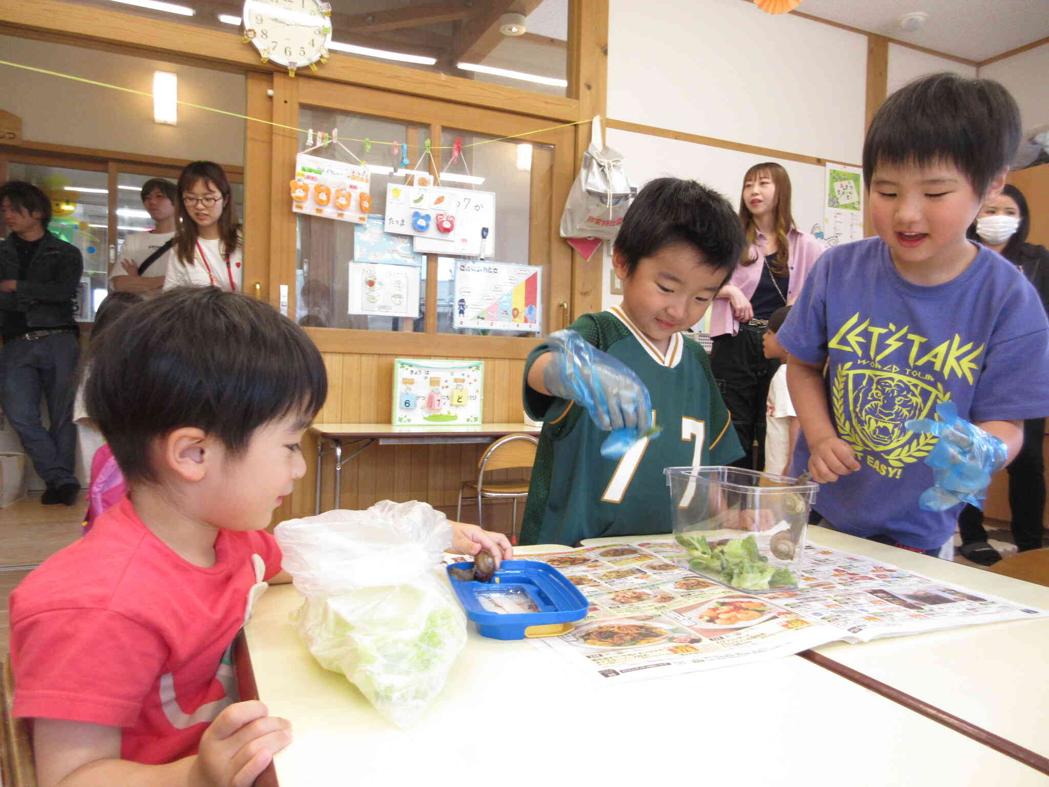 カタツムリのお世話も当番でしています