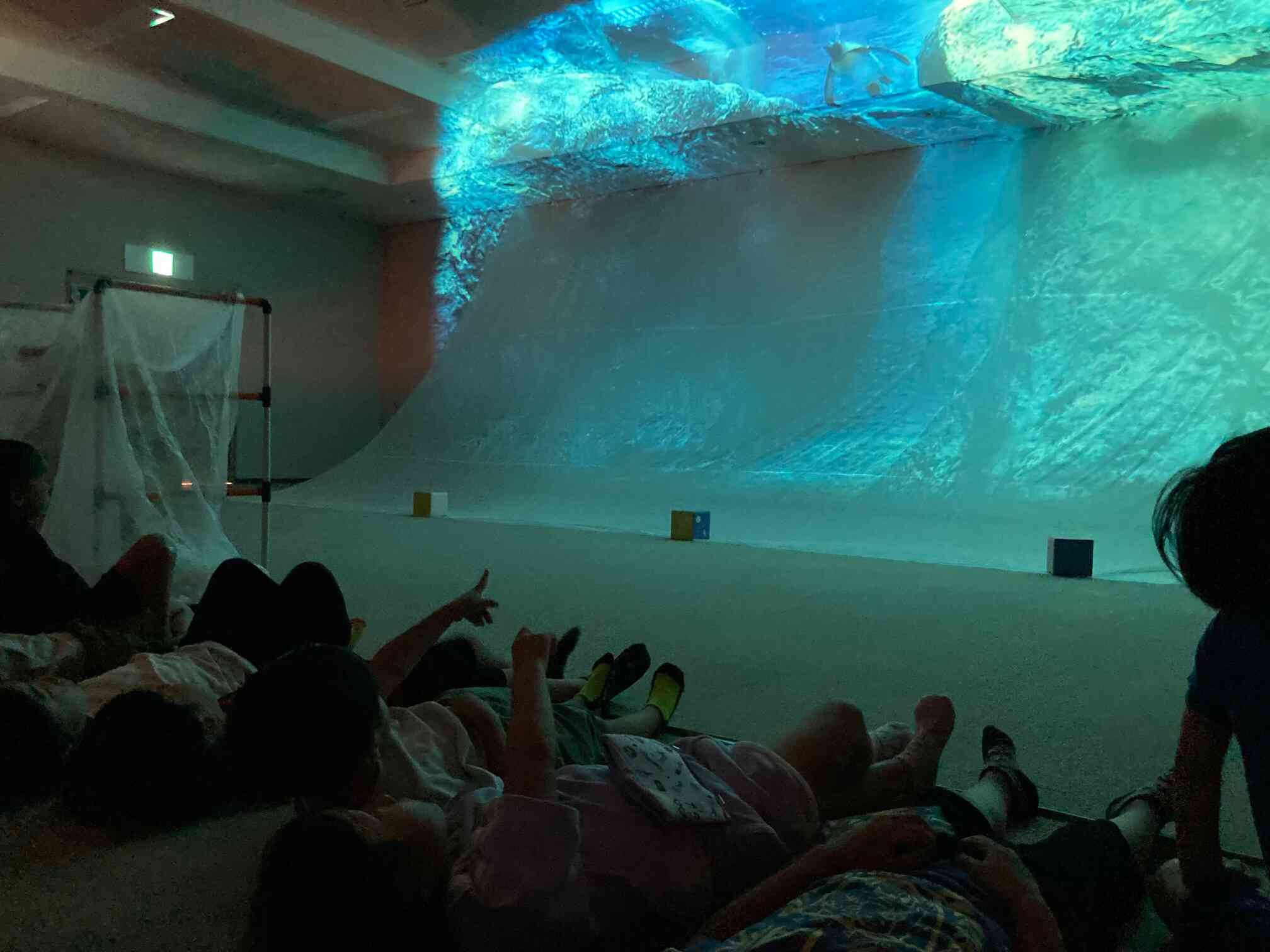 海だ！