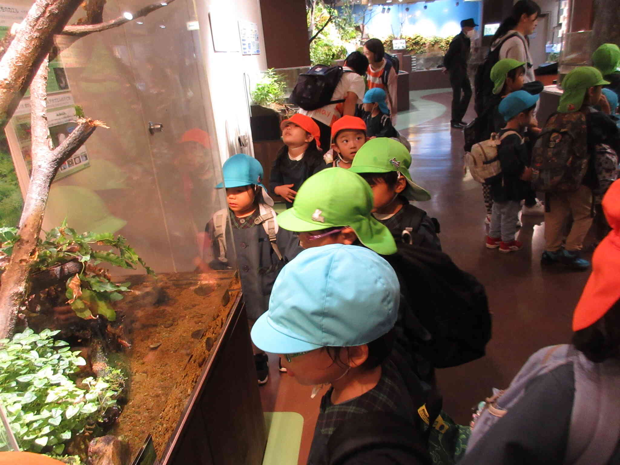 何がいるかな？