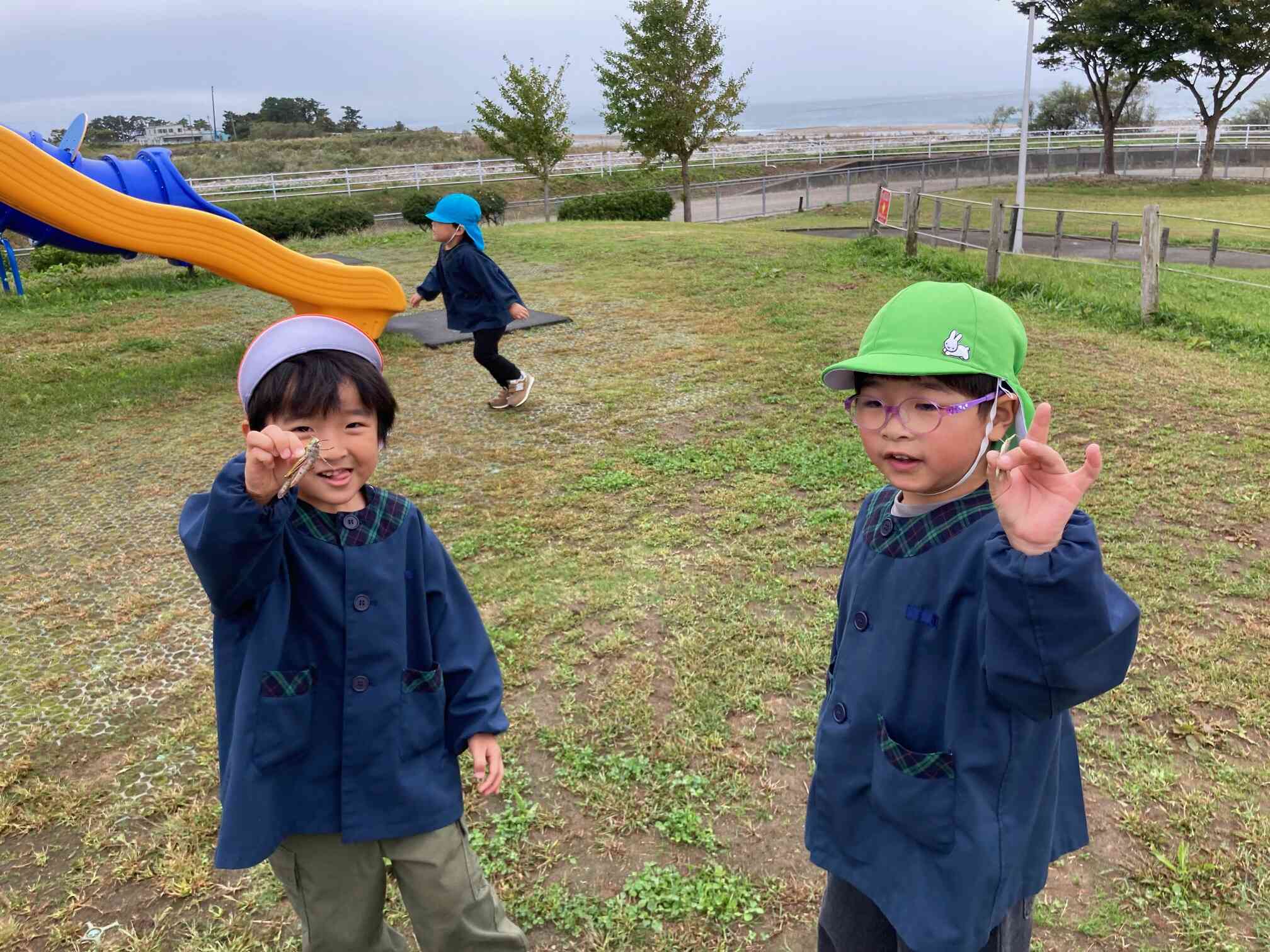 バッタ捕まえた!