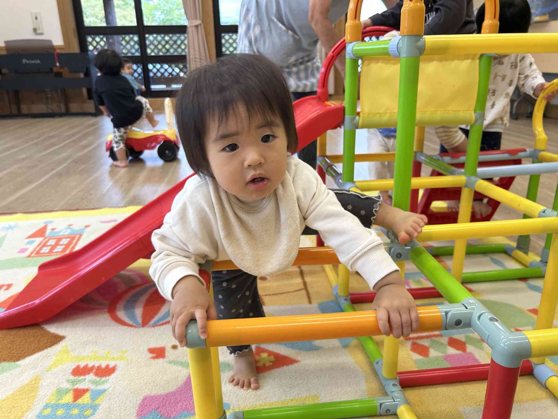 登るのも上手になってきたよ!