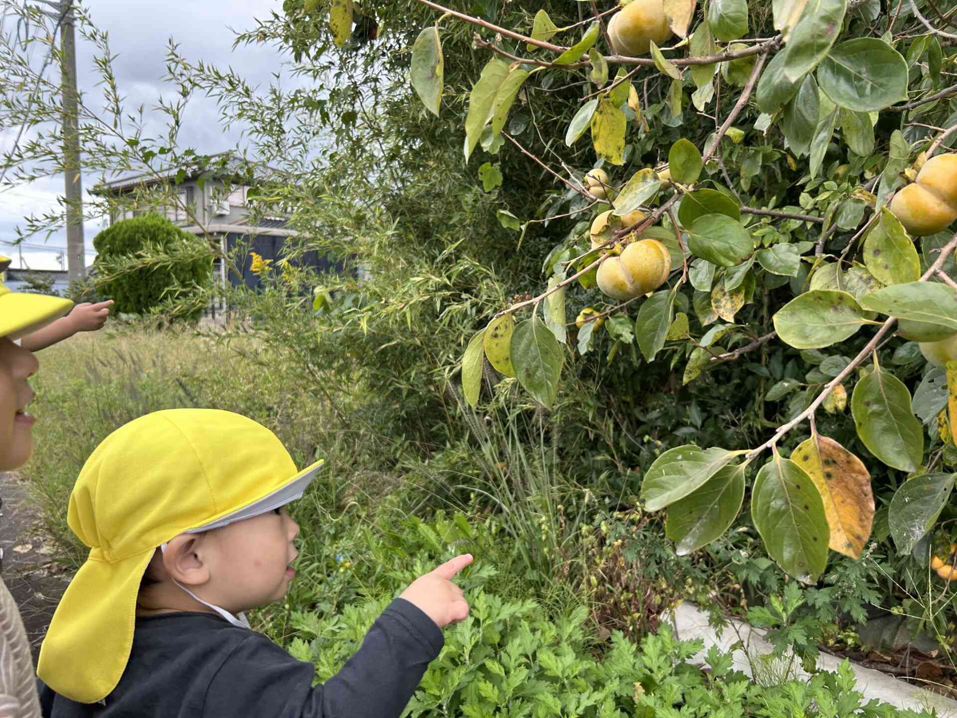 いろんな秋、みーつけた!(りす組0・1歳児)
