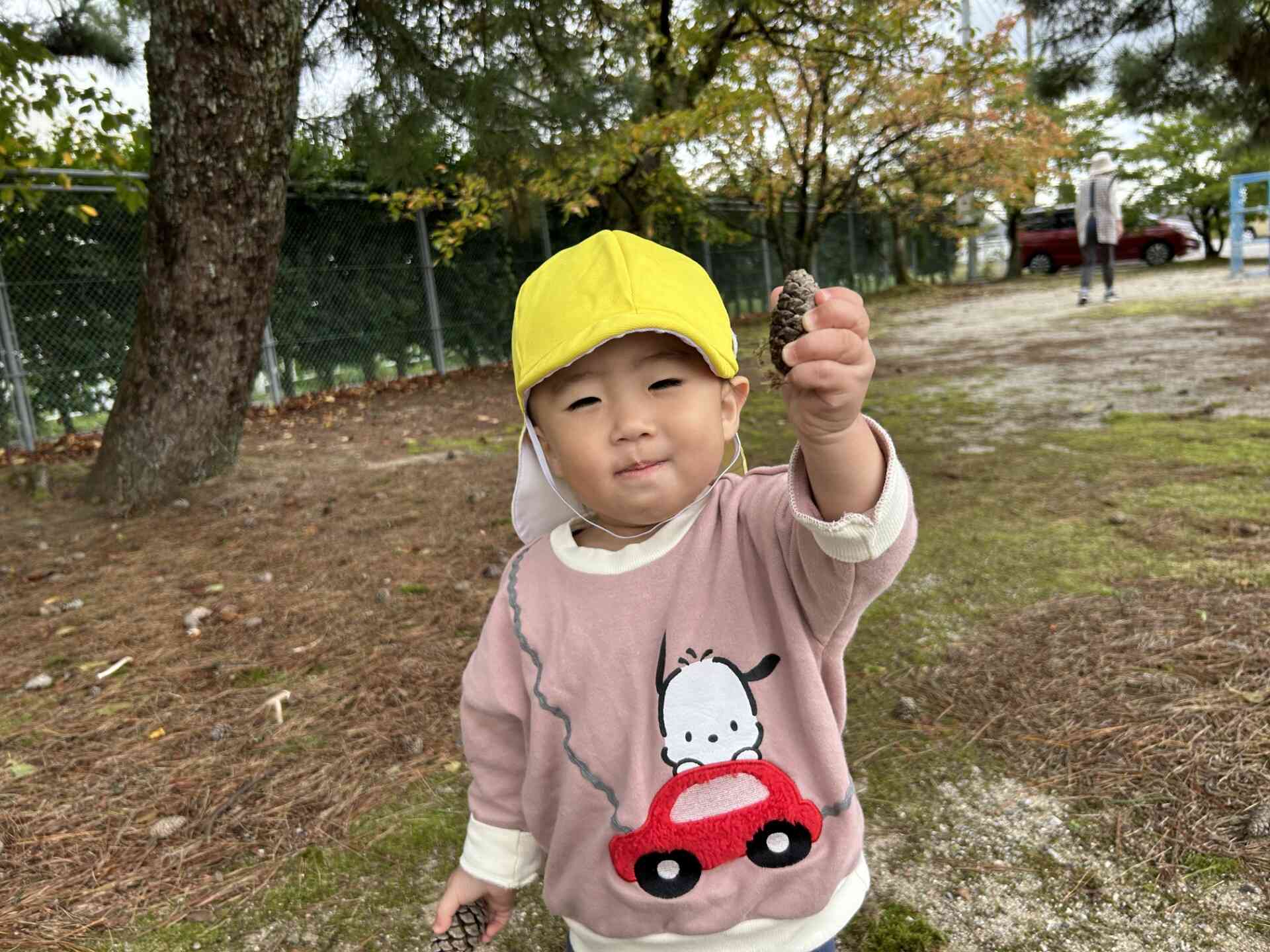 みてみて!松ぼっくり!