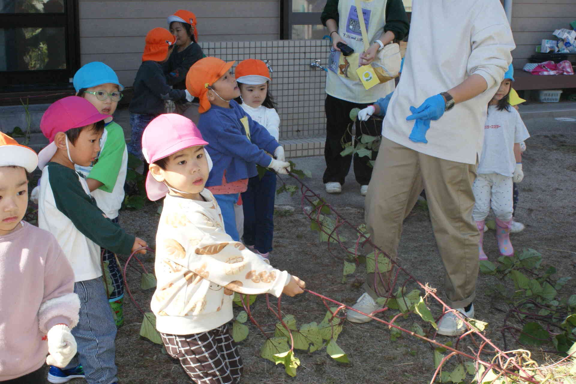 よいしょよいしょ