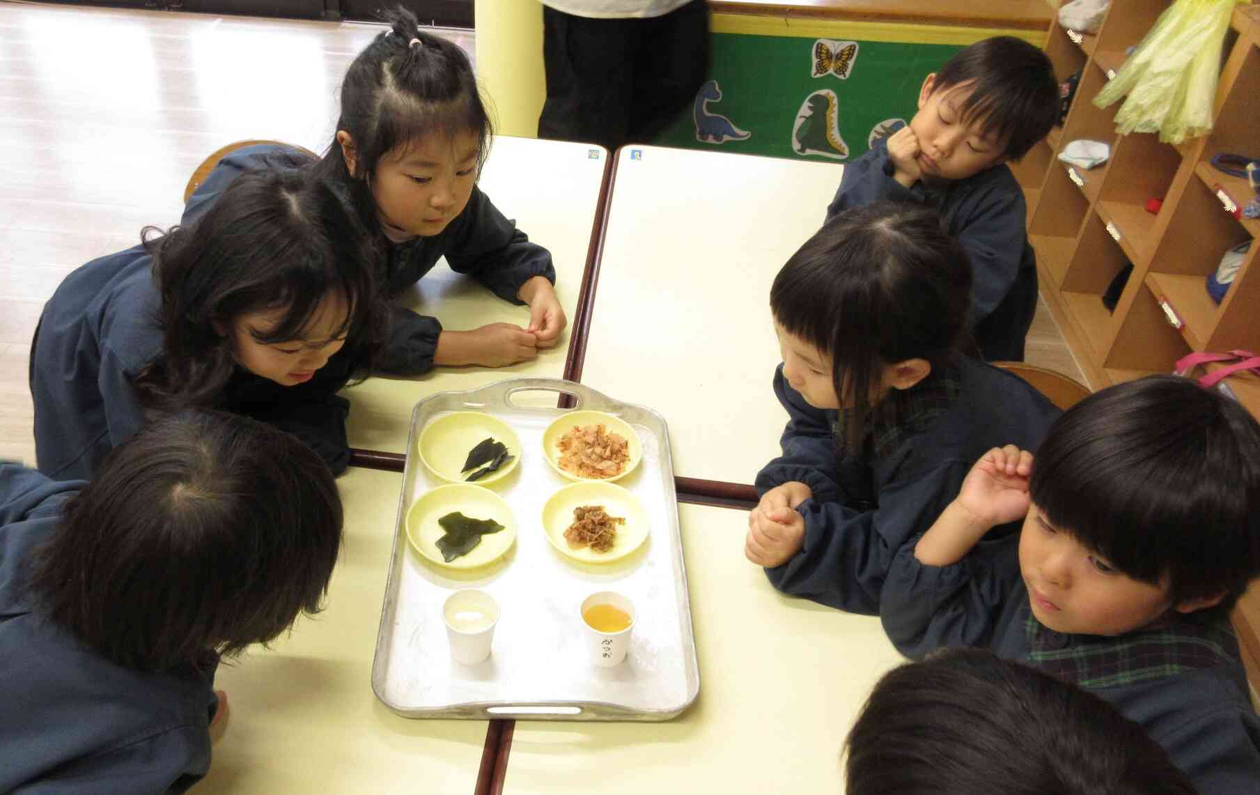 かつお節と昆布の観察をしたよ