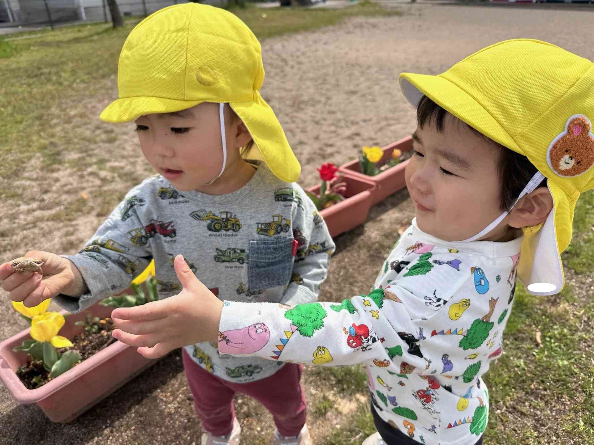 4月 こあら組（2歳児）をのぞいてみよう｜ニチイ弓庄保育所｜ニチイキッズ
