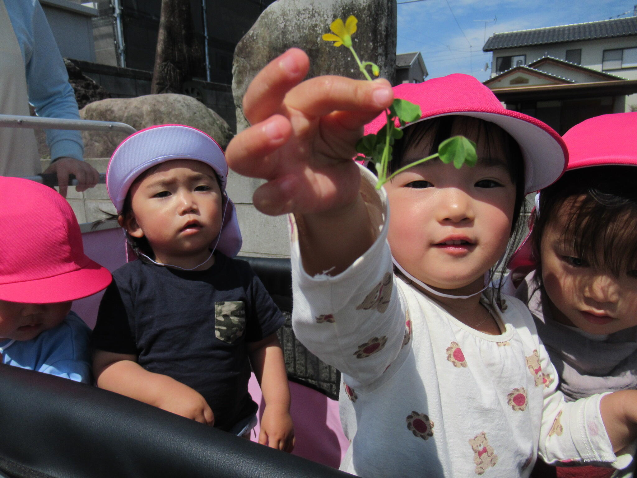 黄色いお花見つけたよ！かわいいでしょ♪
