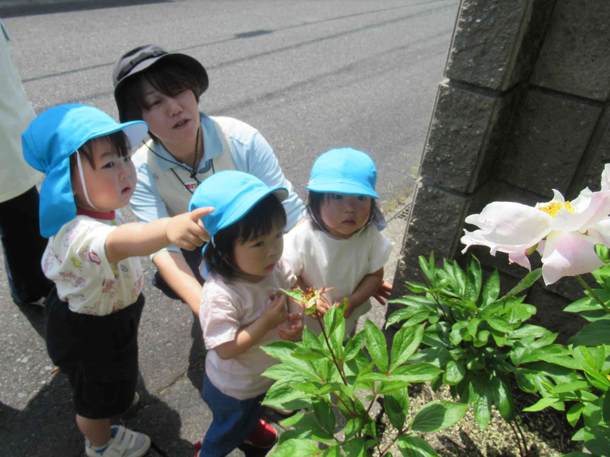 初めてのお散歩にお出掛け♪(1歳児・あひる組)