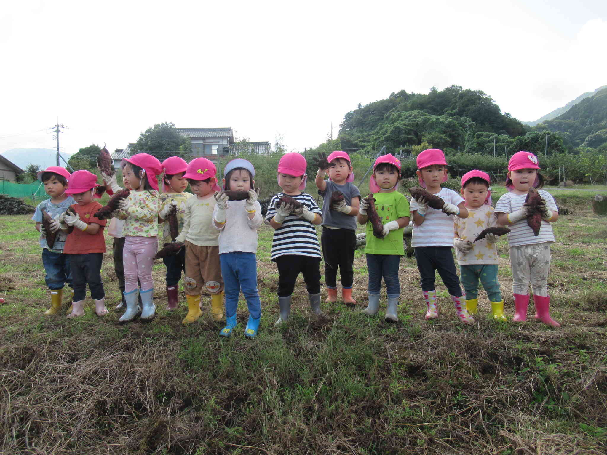 たくさんお芋がとれたよ♬～うさぎ組・2歳児～