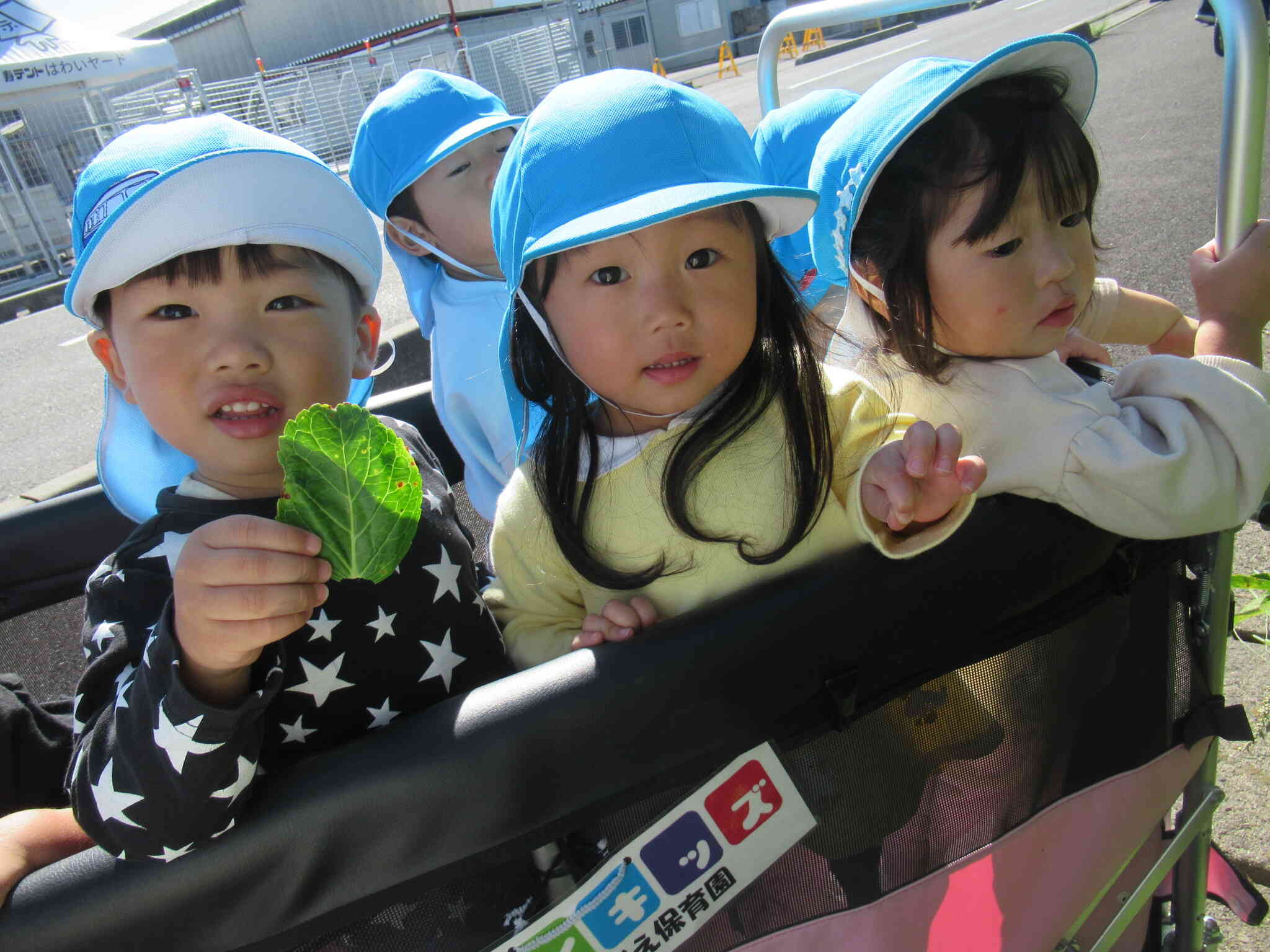 秋、み~つけた!(あひるぐみ~1歳児~)