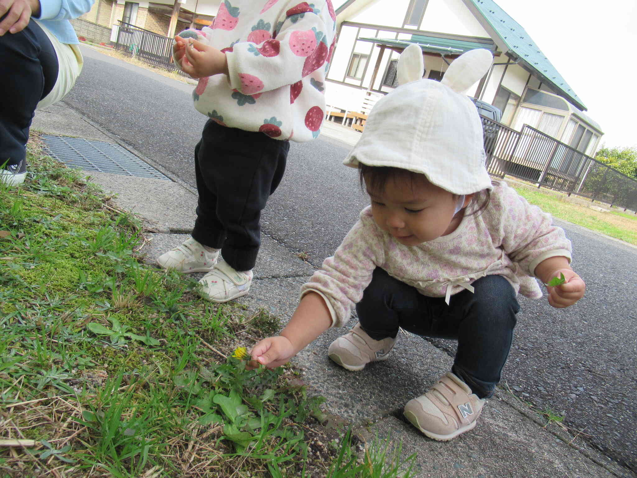秋のお散歩楽しいね！（ひよこ組）