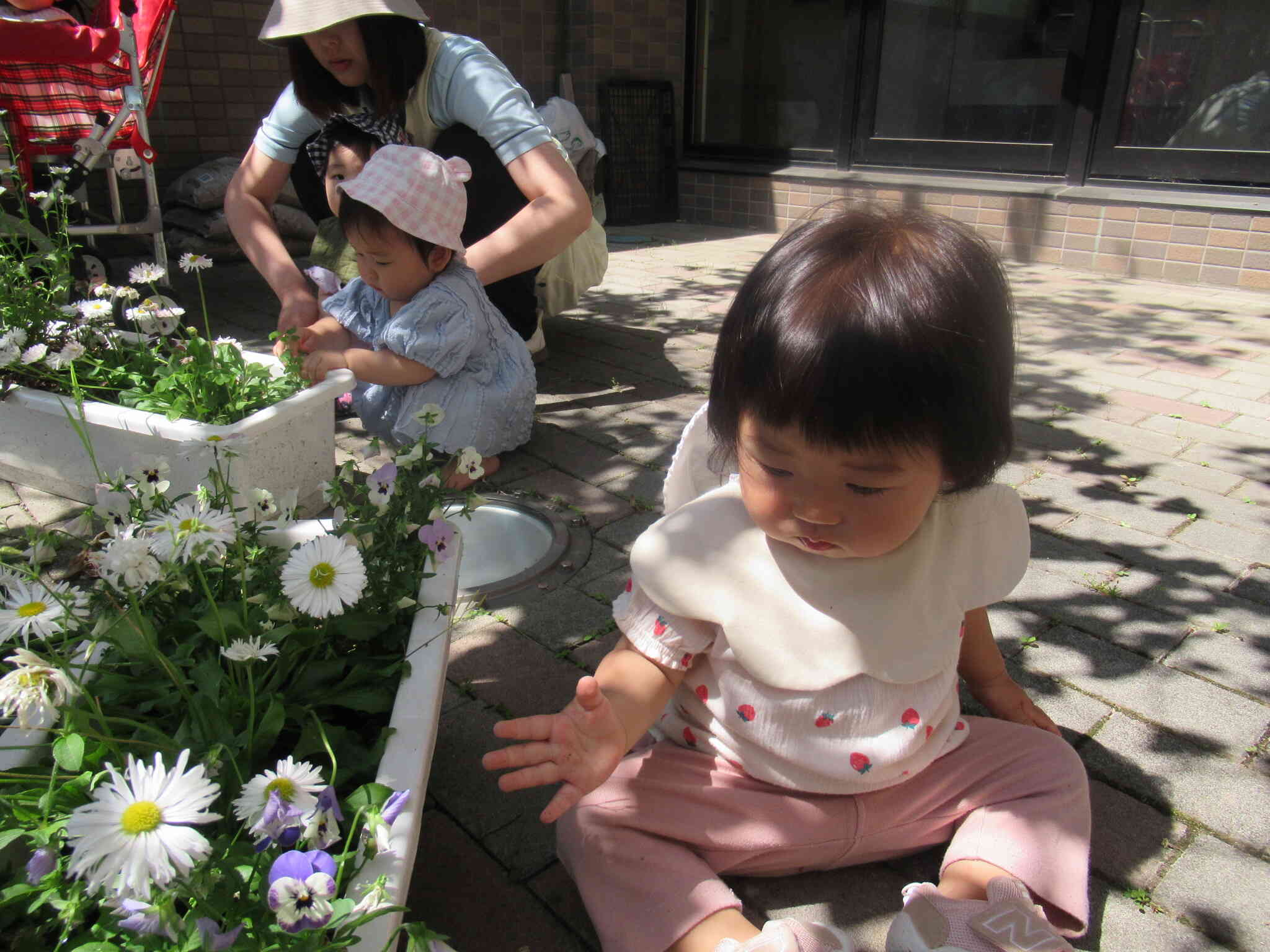 ダンゴムシに興味津々！