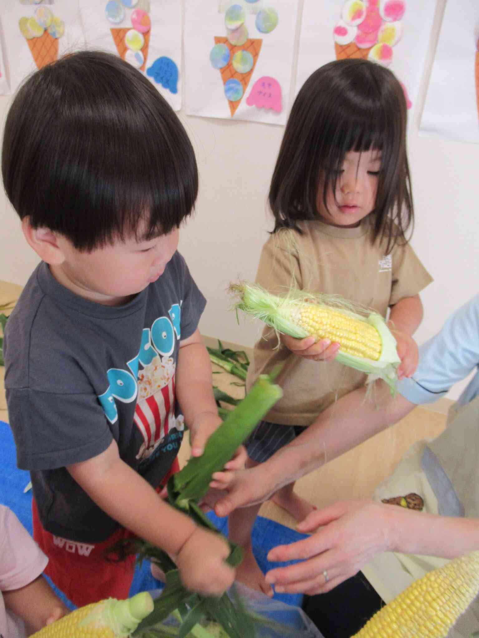 とうもろこし見えてきたね！！