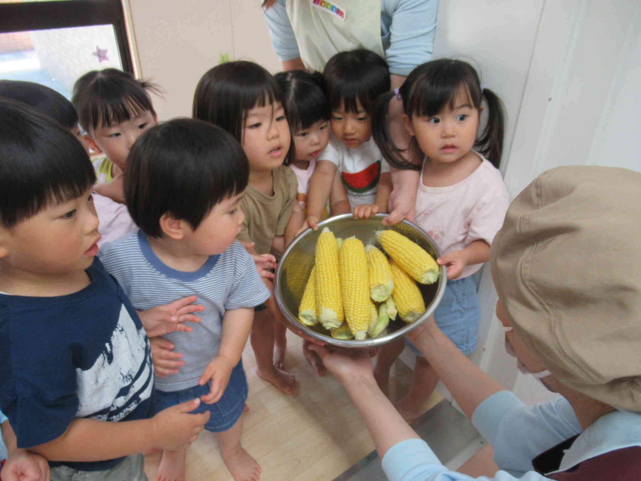 給食の先生にとうもろこしを持っていきました
