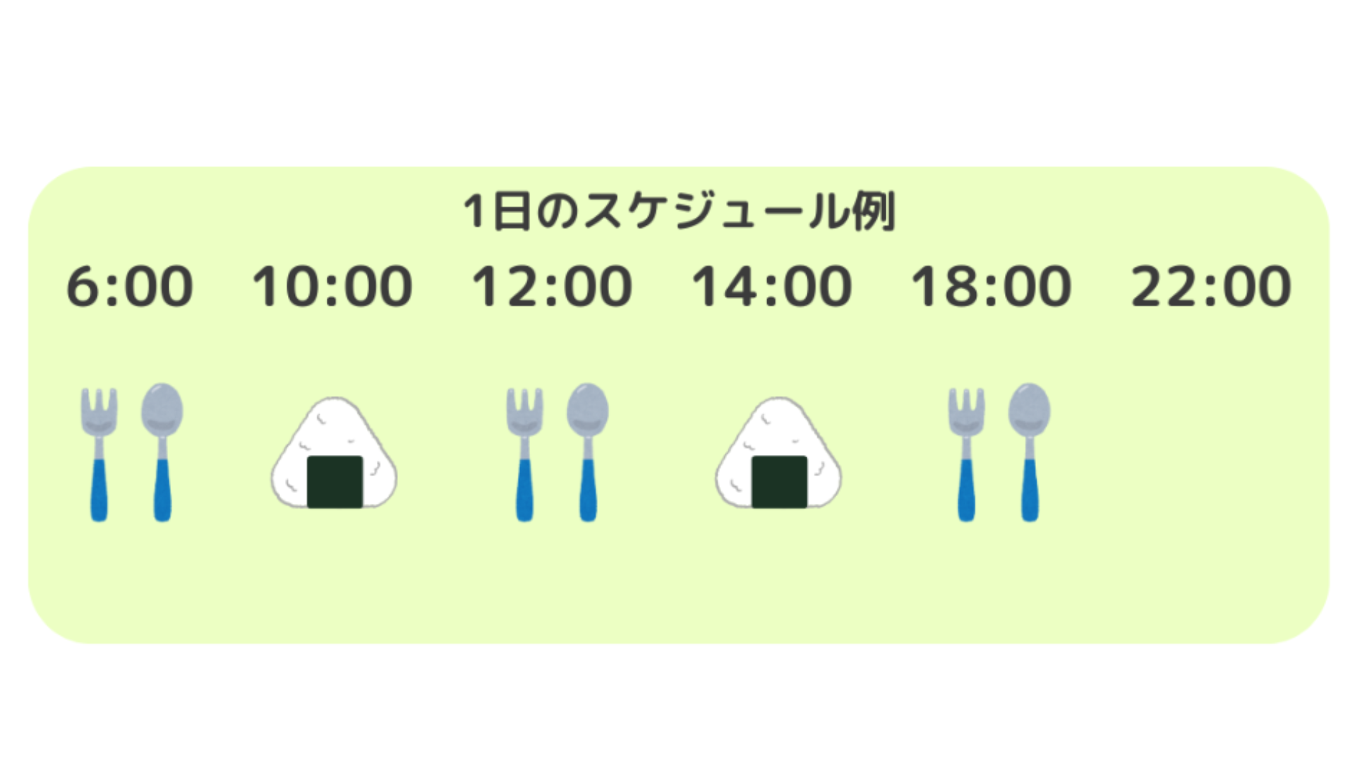 完了食の1日スケジュール