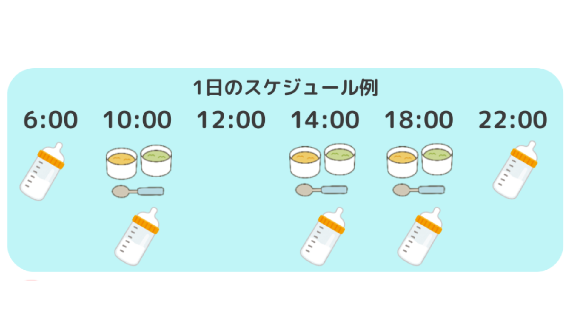 後期食の1日スケジュール例